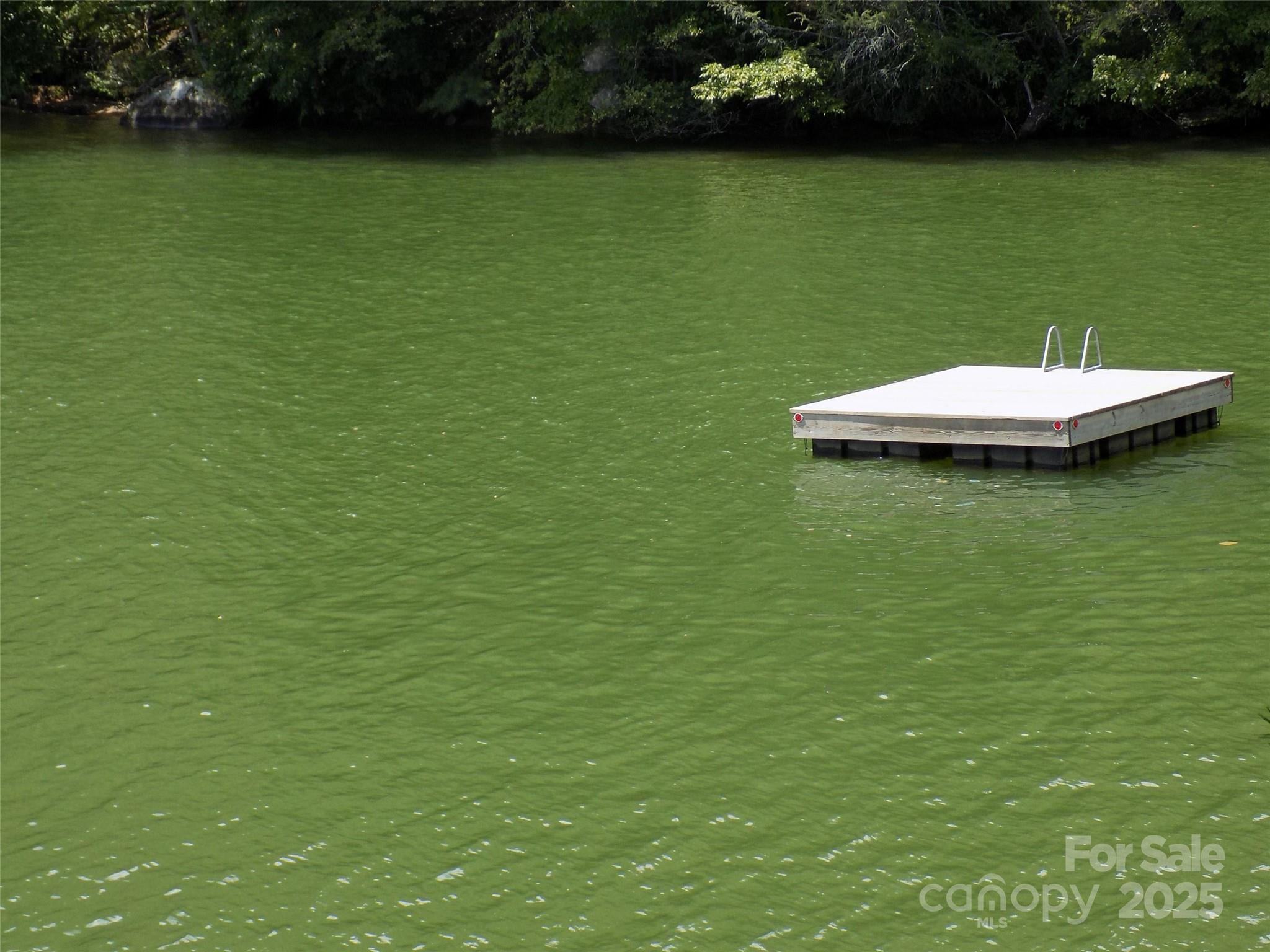 0 Pine Tree Court 150