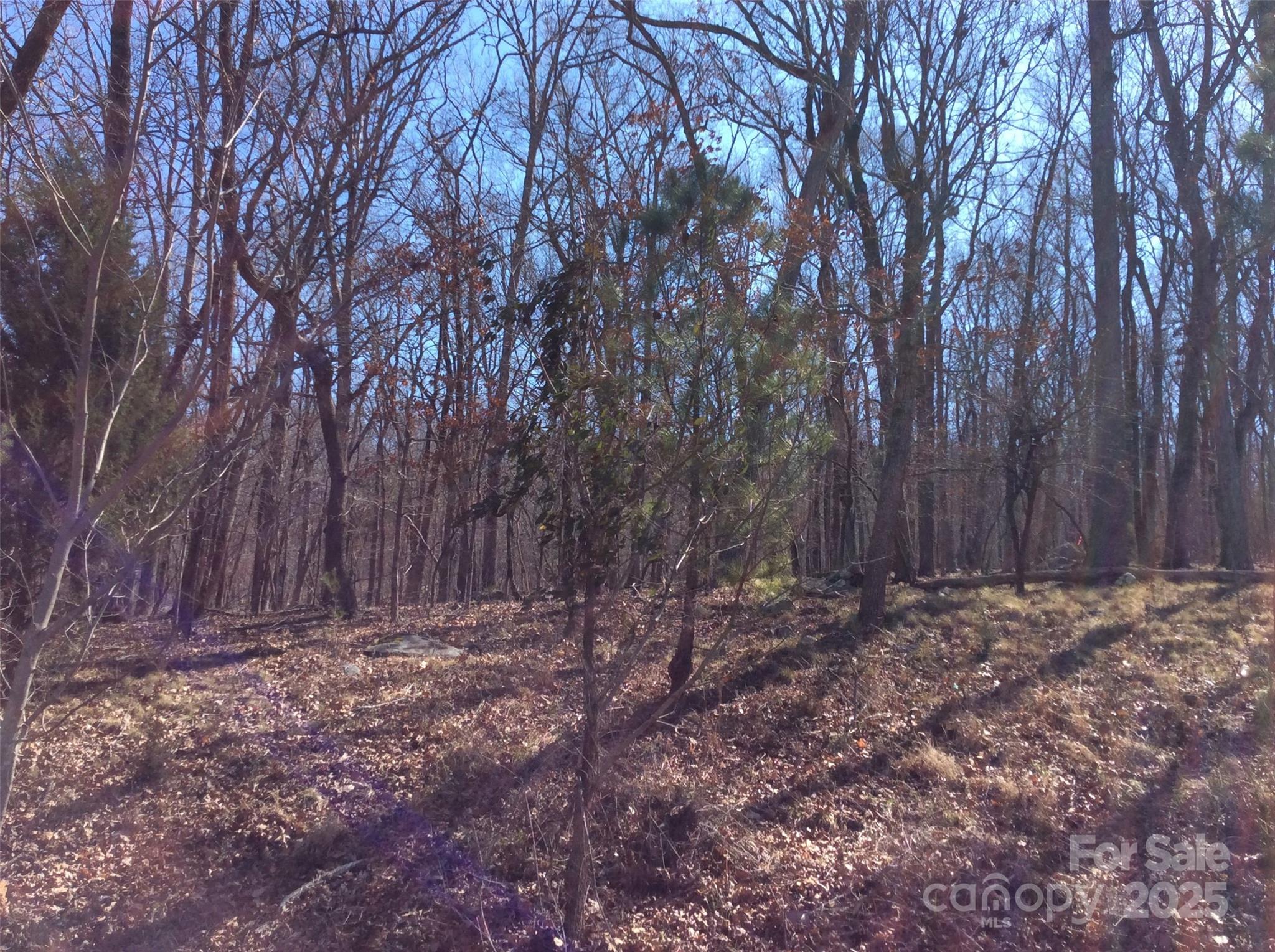 1355 Rocky Cove Lane