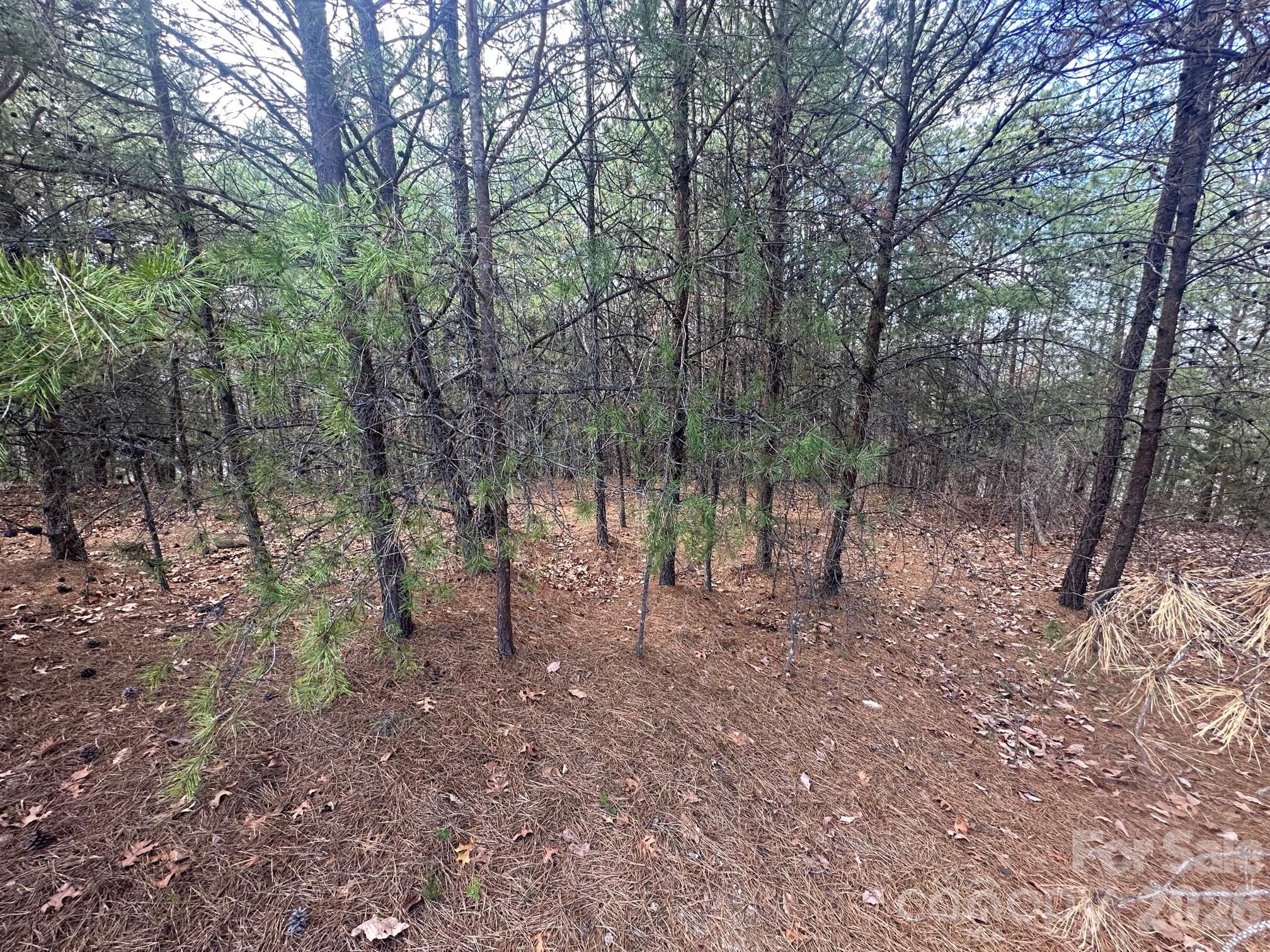The Peaks at Lake Lure - Land