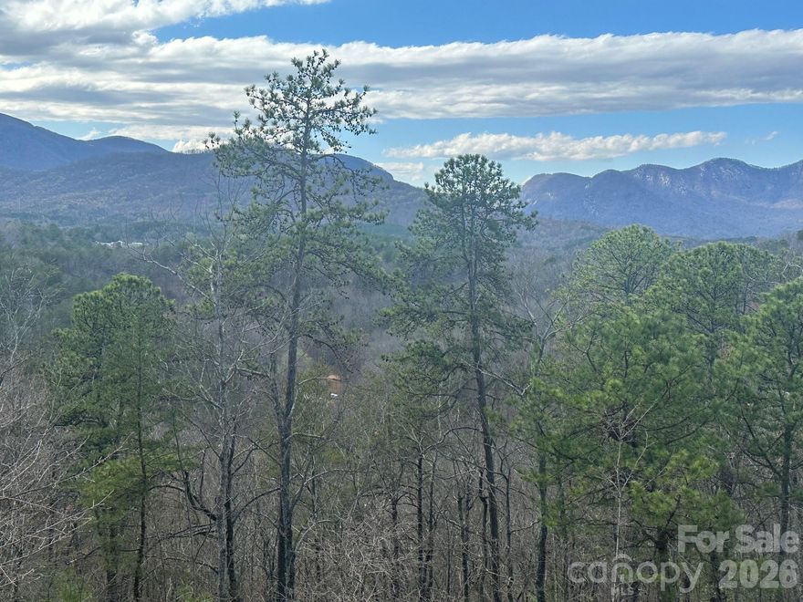 Lake Lure: 6.46 Mountain Top Acres in The Peaks at Lake Lure. Located just 5 minutes from Ingles grocery in Lake Lure, this estate sized parcel has underground power, paved street and breathtaking mountain views. A must see at $125,000.