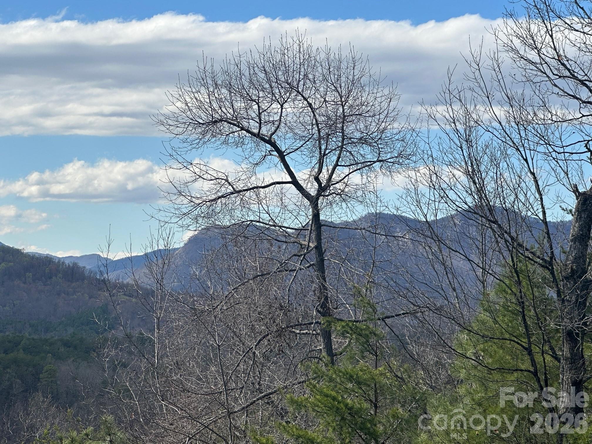 The Peaks at Lake Lure - Land