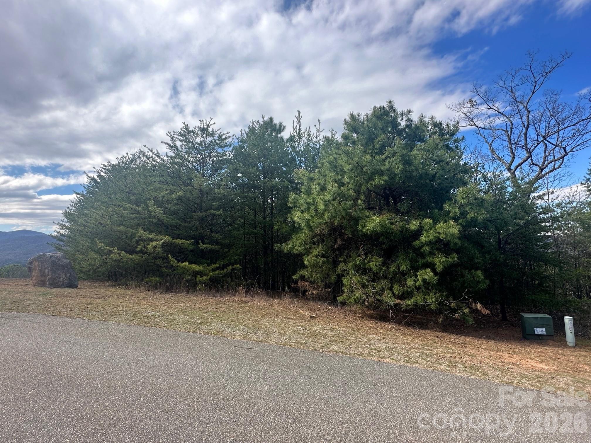 The Peaks at Lake Lure - Land