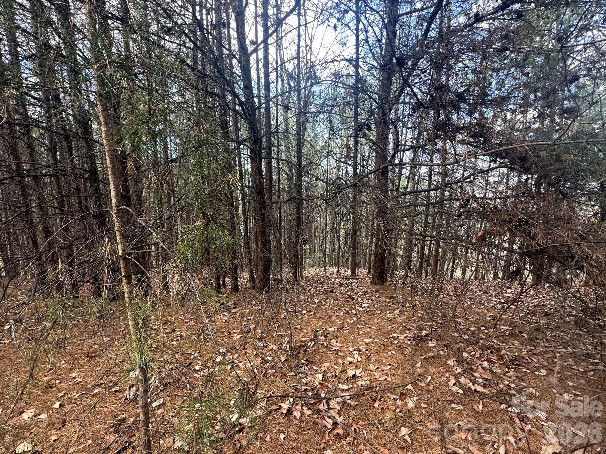 The Peaks at Lake Lure - Land
