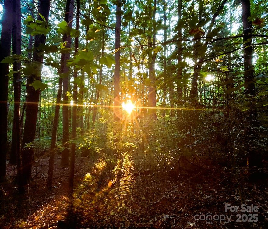 Rare 10+ Acre Private Retreat in Prime Horse Shoe/Hendersonville Location. In the heart of Western North Carolina, this expansive parcel offers a rare opportunity to own a large, private piece of land in the highly sought-after area. Located just off Broyles Rd, this property provides the perfect blend of seclusion and convenience—a true hidden gem surrounded by the natural beauty and vibrant communities of the region. Enjoy long range mountain views from this gently sloping acreage, with mature trees and little underbrush. Whether you're dreaming of a private estate, mountain getaway, mini-farm, or future development, this land offers the flexibility and space to bring your vision to life. Enjoy the tranquility of your own wooded sanctuary, all while being just 10 minutes to downtown Hendersonville, 15 minutes to Mills River & Etowah, 30 minutes to Asheville and Brevard. Close to shopping, schools, medical facilities, and Asheville Regional Airport... Outdoor enthusiasts will love the proximity to world-class recreation; DuPont State Forest & Pisgah National Forest for hiking, biking, and waterfalls, French Broad River access just minutes away for kayaking and fishing, Nearby golf courses, equestrian trails, and scenic drives along the Blue Ridge Parkway. Opportunities to own this much usable, private acreage in such a prime location are few and far between. Don’t miss your chance to create something truly special in one of WNC’s most desirable and fast-growing areas. Schedule your showing today—this one won't last long!