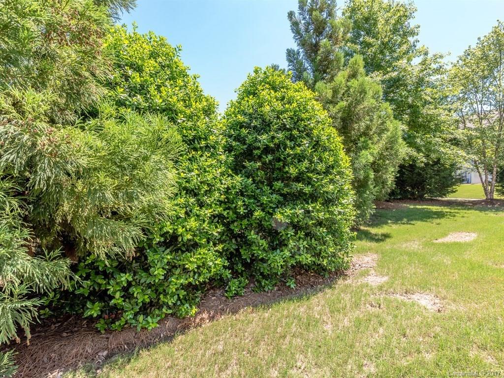 The Enclave at Ardrey Kell - Residential