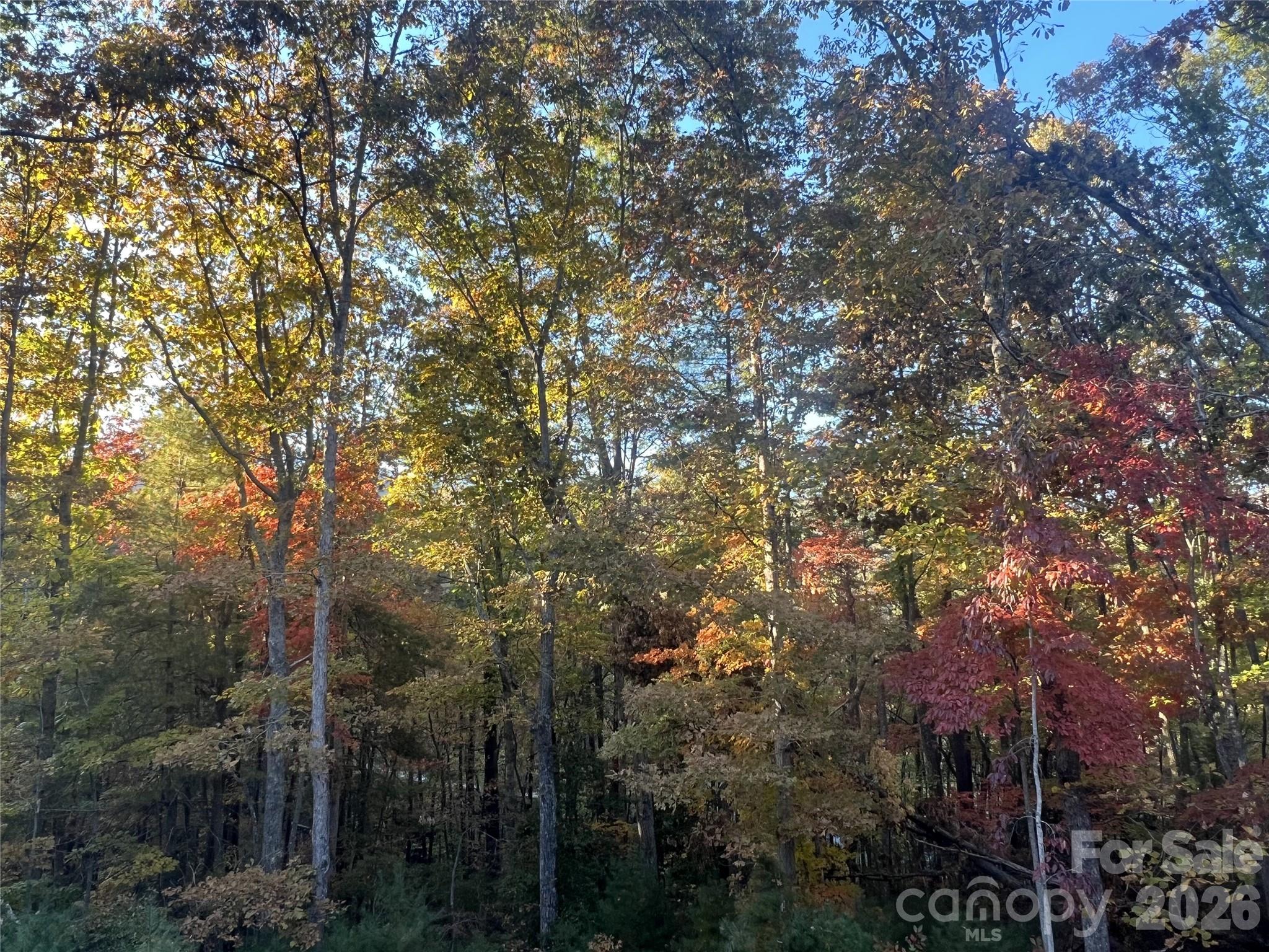 99999 Pole Creasman Road