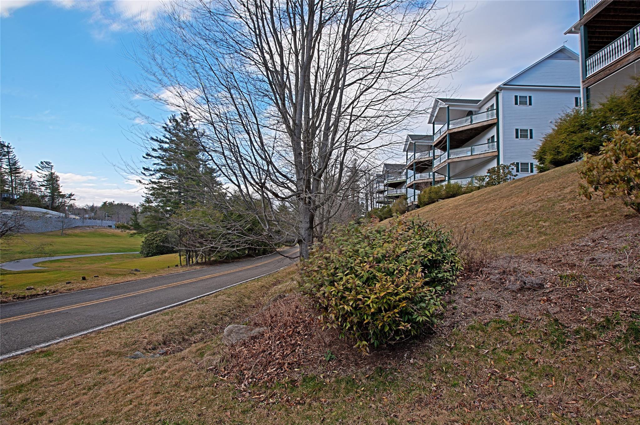 Village at Green Park - Residential