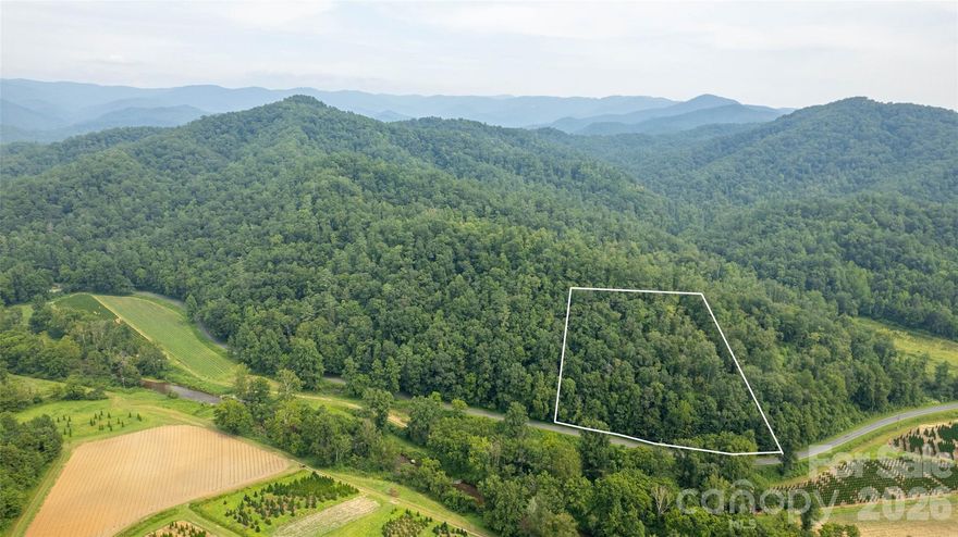 Back on the market at new low price! Lot 3 out of 20 recently surveyed parcels. 12.21 UNRESTRICTED acres of natural beauty conveniently located 15 miles from Downtown Blowing Rock and all of it's amenities! With its mountain views and tranquil atmosphere, this property offers the perfect escape from city life. Embrace the chance to create your own haven amidst the natural splendor of this property. This hidden gem is a true sanctuary, offering a retreat from the digital world allowing you to fully disconnect and enjoy the serenity of your surroundings. Walk the old logging roads through the property for easier access. 13 miles from Brown Mountain OHV 34 mile trail system! The only OHV area in Pisgah National Forest. Per the GIS map, there is water on this property. Spectrum cable available! Recent road improvements! Call listing agent before driving to property.