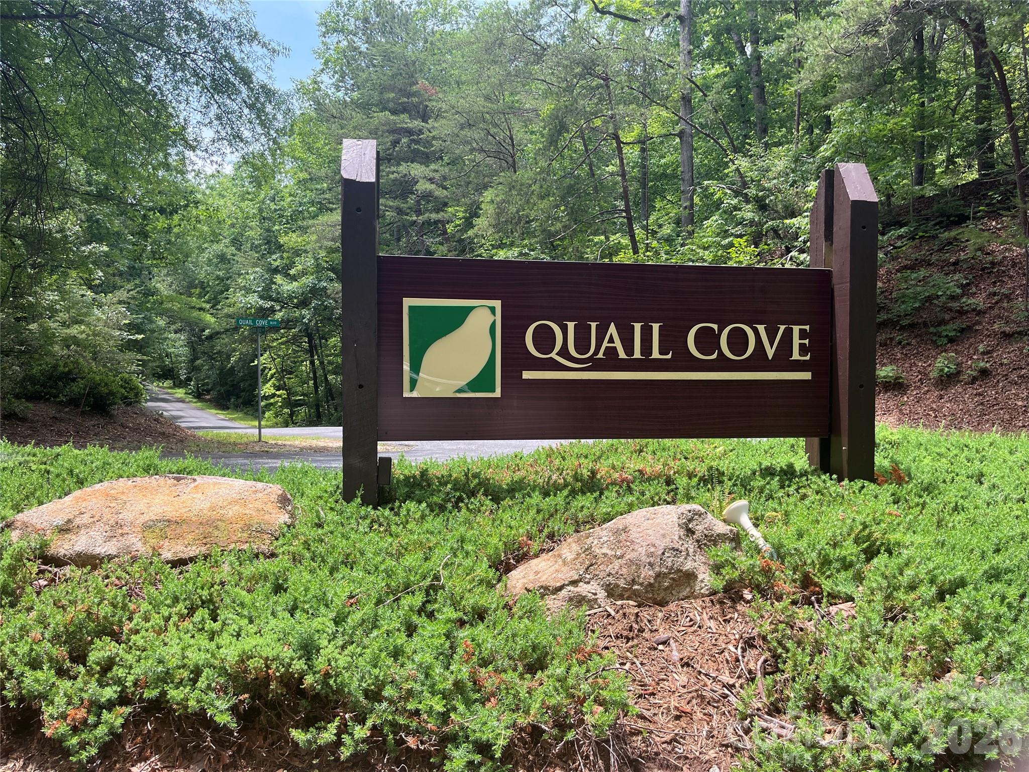 Rumbling Bald on Lake Lure - Residential