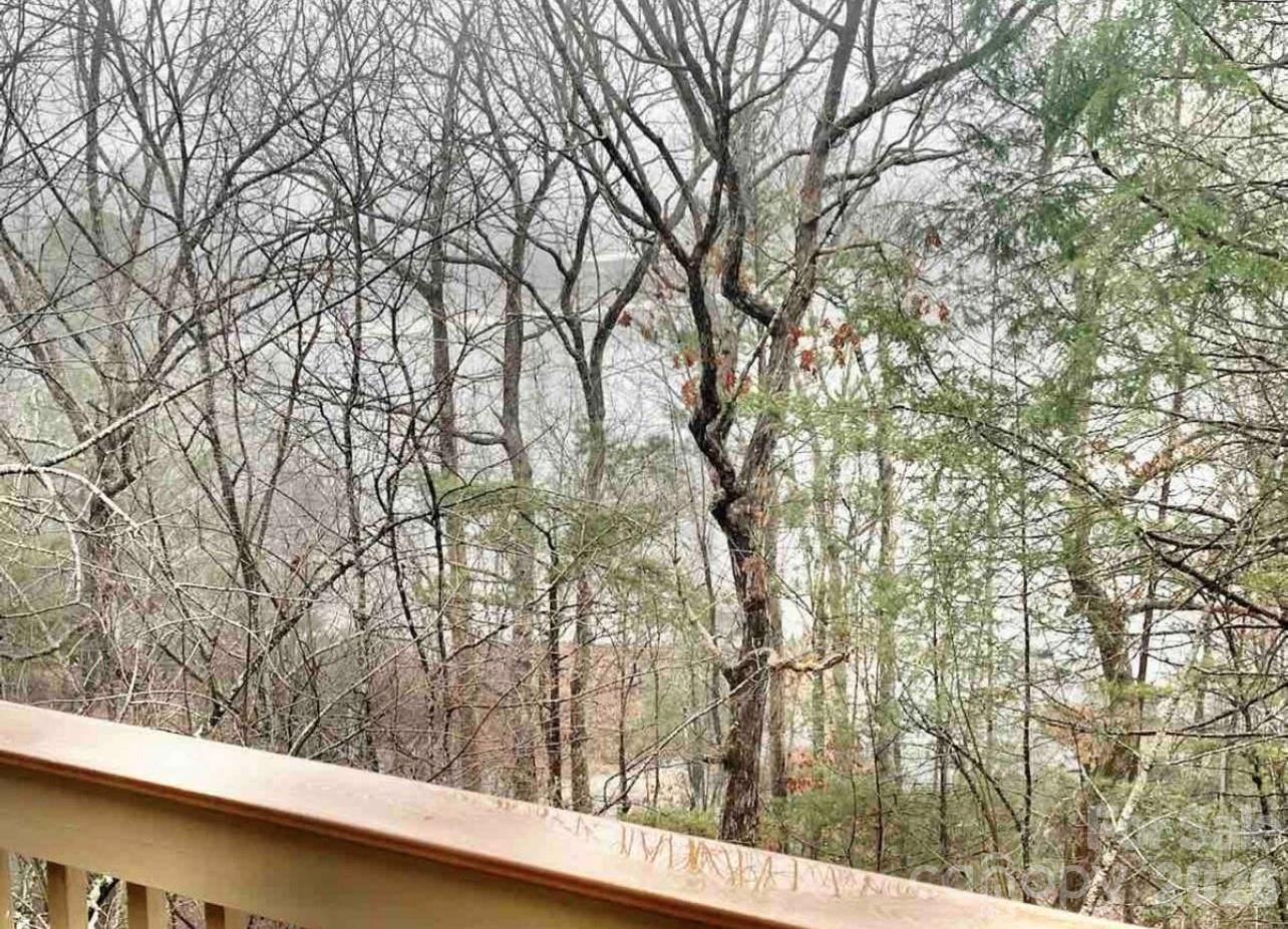 Rumbling Bald on Lake Lure - Residential
