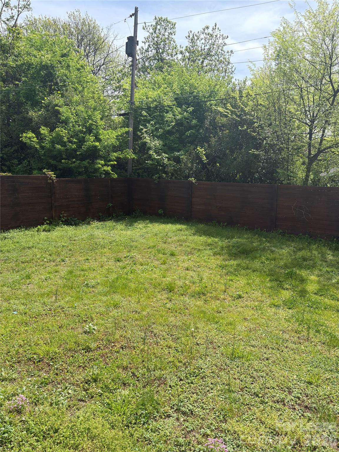 None - Residential Lease