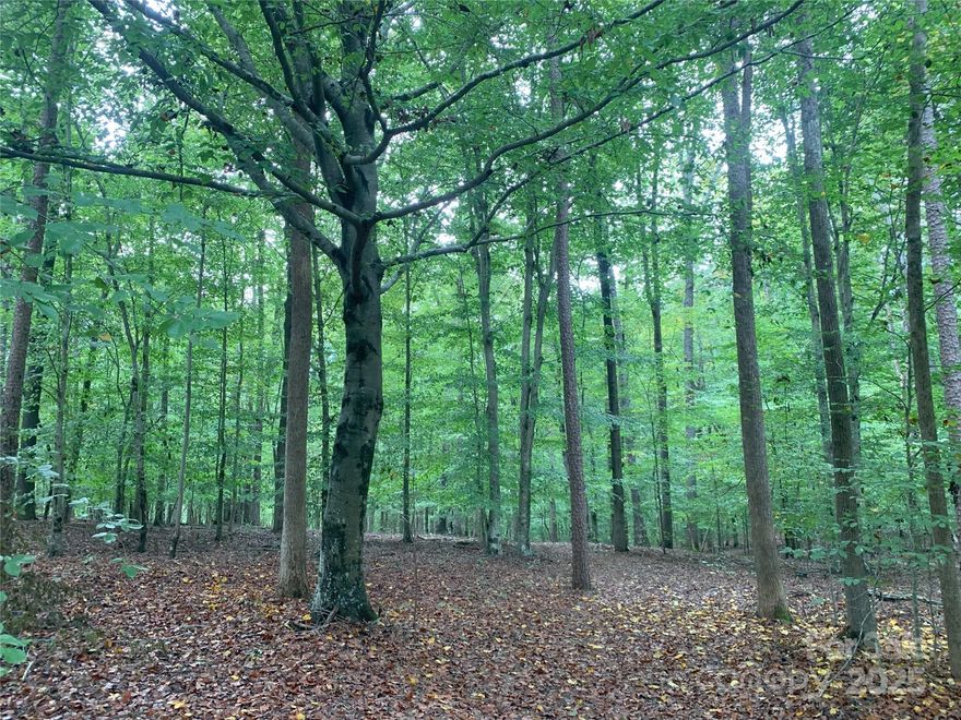 Build your dream home on this stunning property with 2+ acres in Deer Woods featuring beautiful hardwoods, a gentle sloping landscape overlooking a creek with abundant privacy, no HOA, and just minutes from downtown Waxhaw with easy access to Providence Rd, 521 and 200.