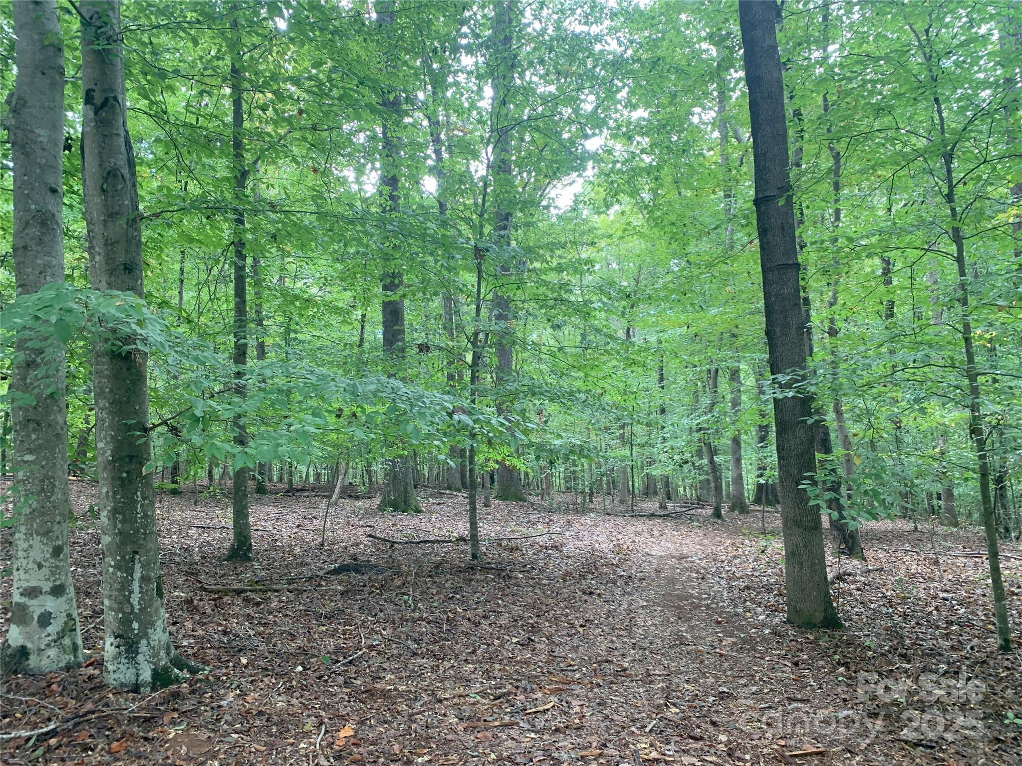 0 Fawn Lane