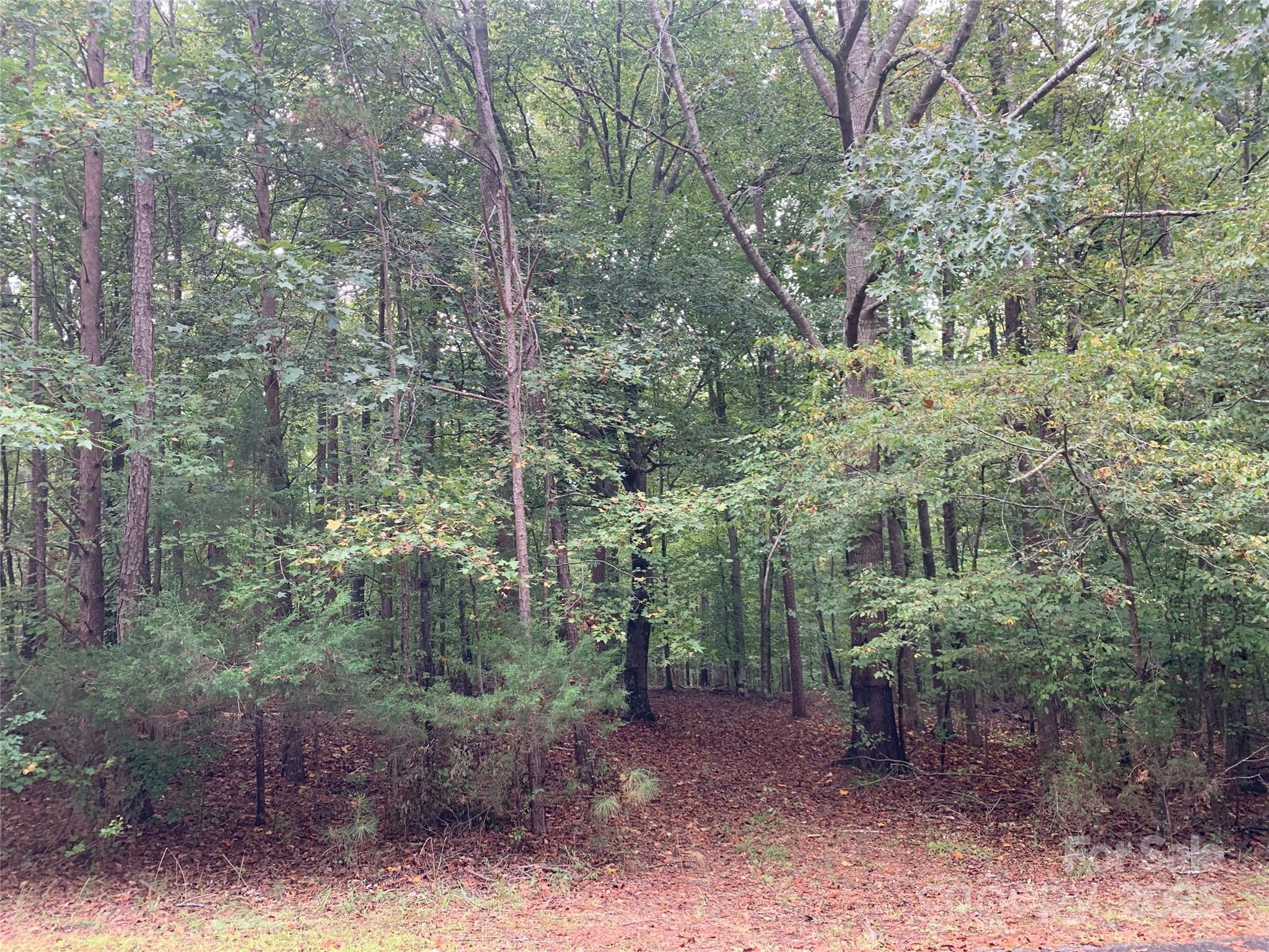 0 Fawn Lane