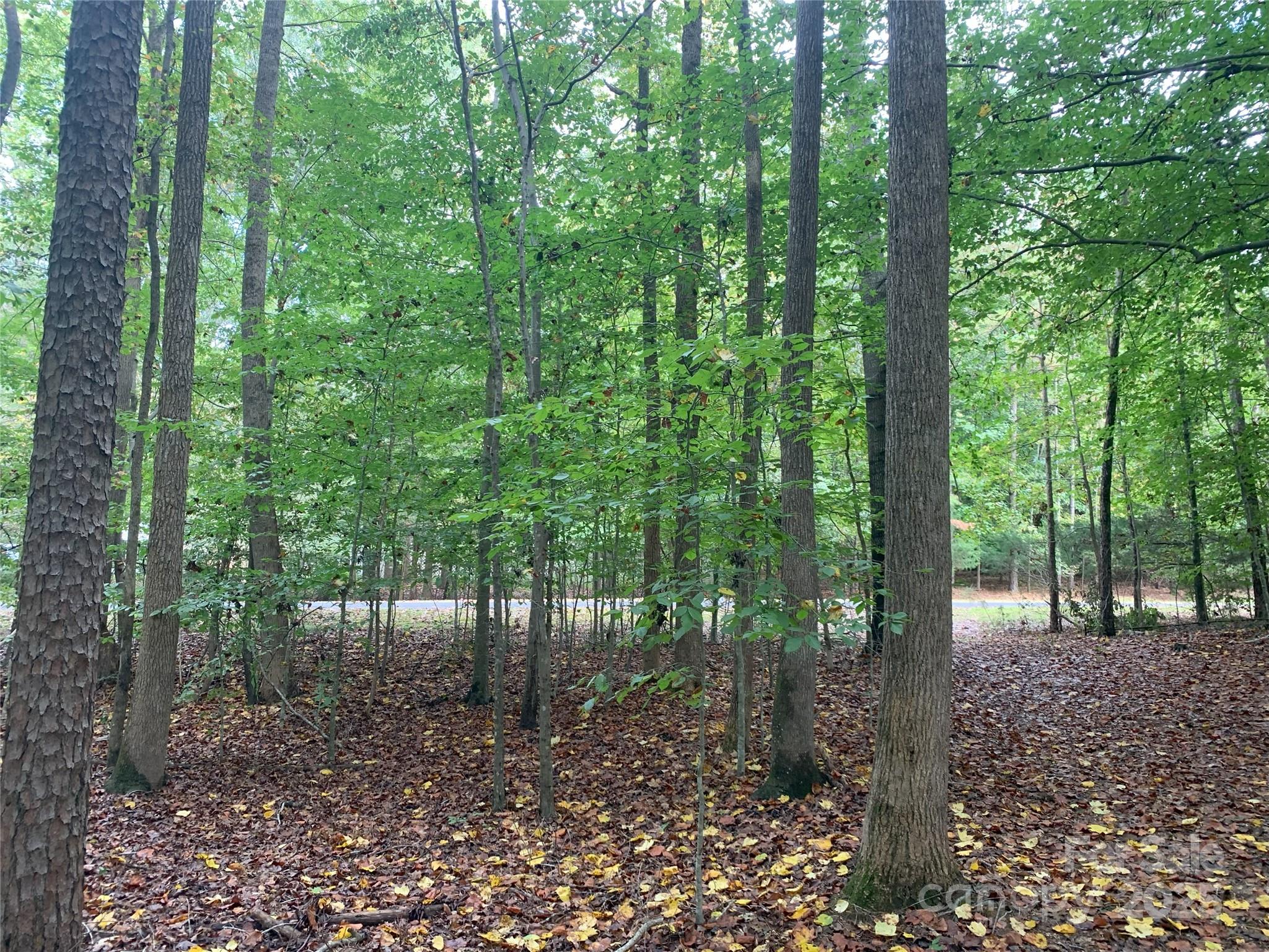 0 Fawn Lane
