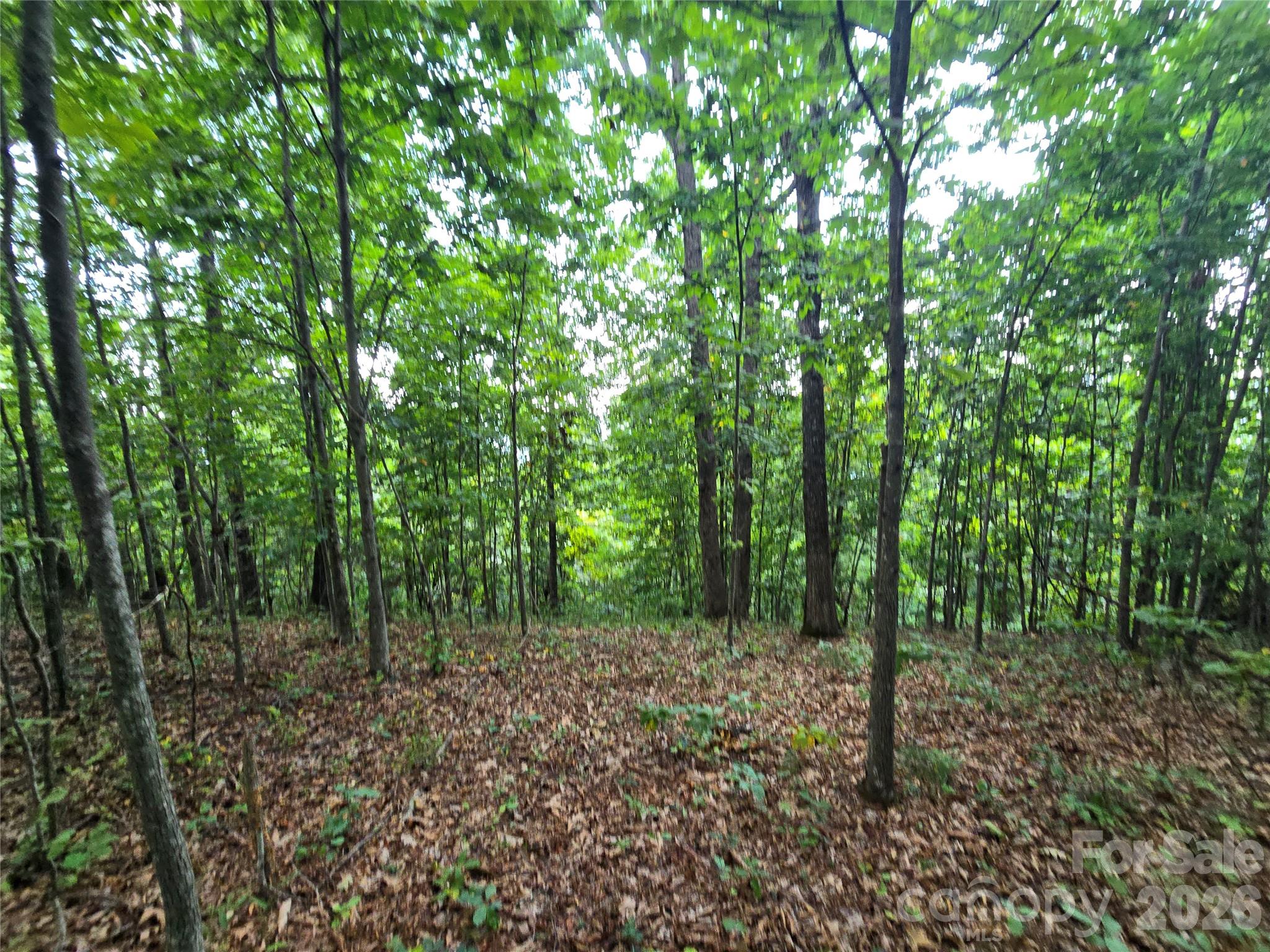 275 Kincaid Place 275