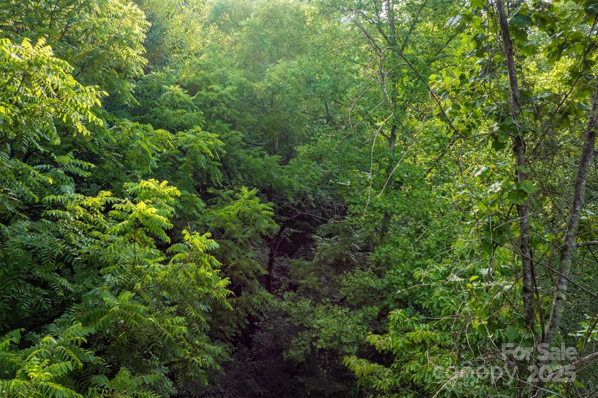 The Coves Mountain River Club - Land