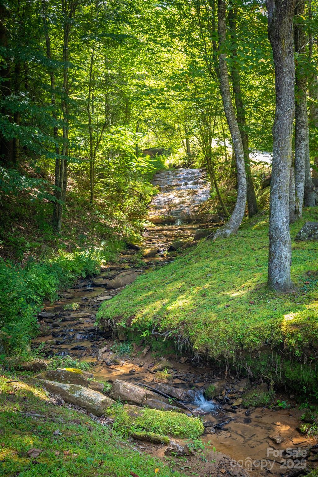 The Coves Mountain River Club - Land