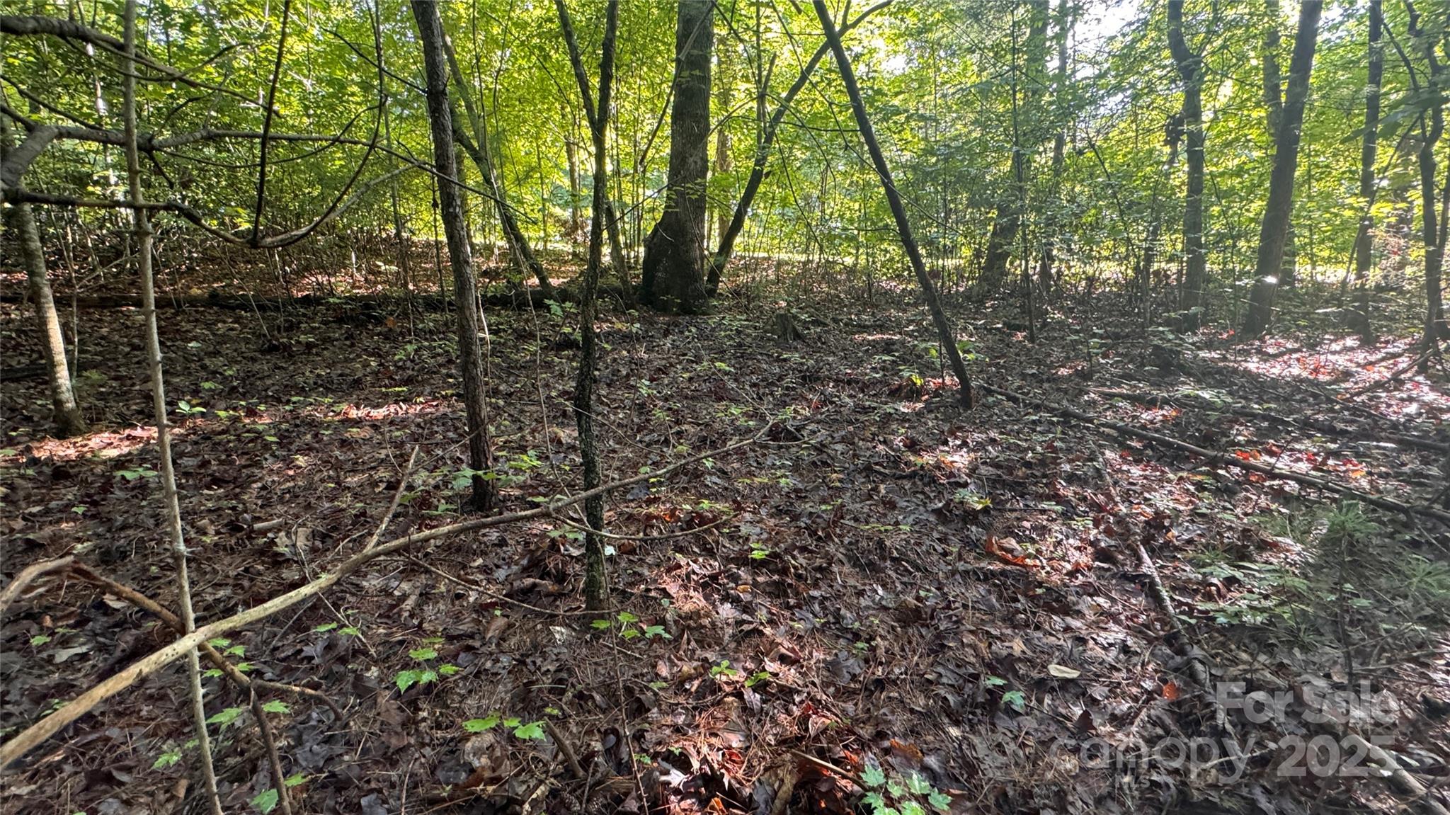 The Coves Mountain River Club - Land