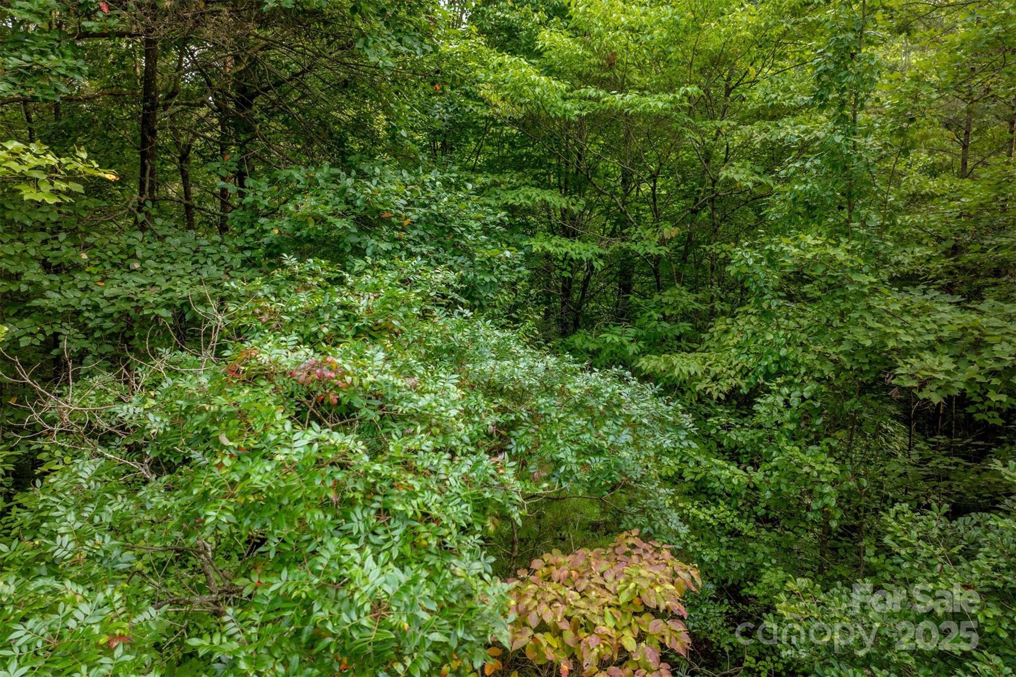 The Coves Mountain River Club - Land