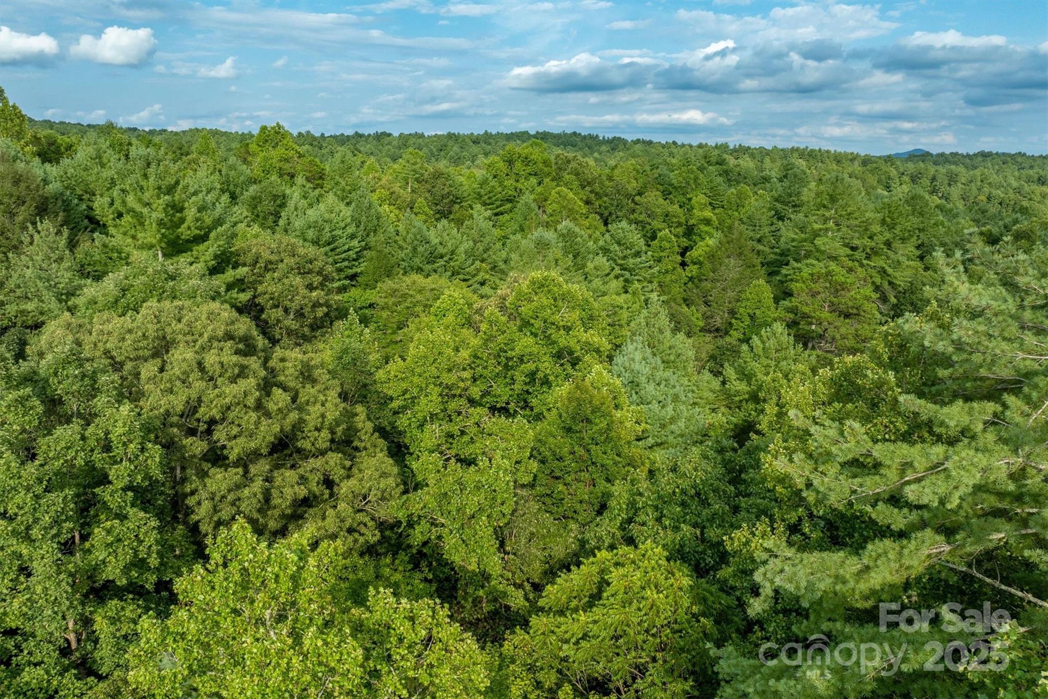 The Coves Mountain River Club - Land