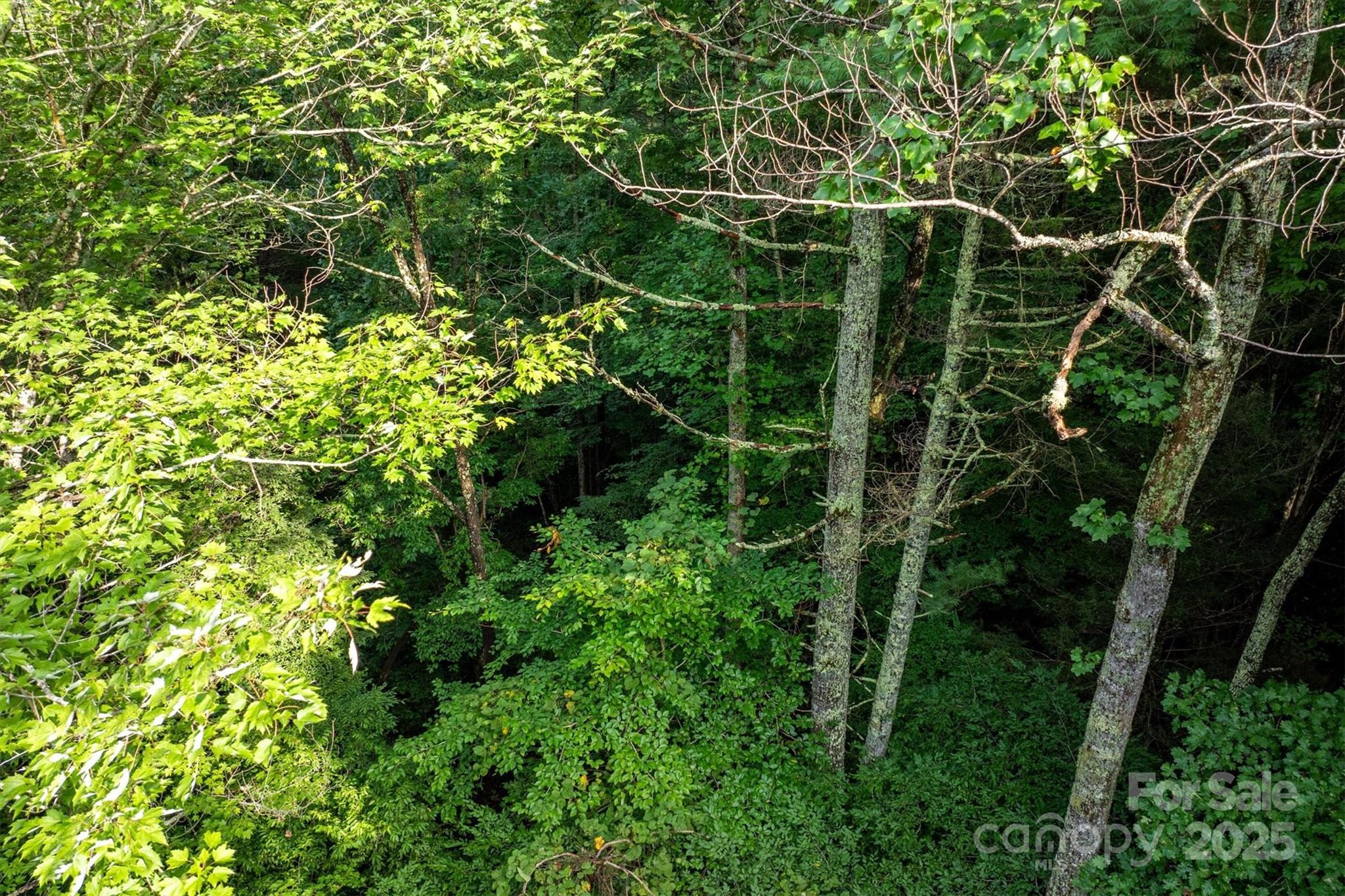 The Coves Mountain River Club - Land