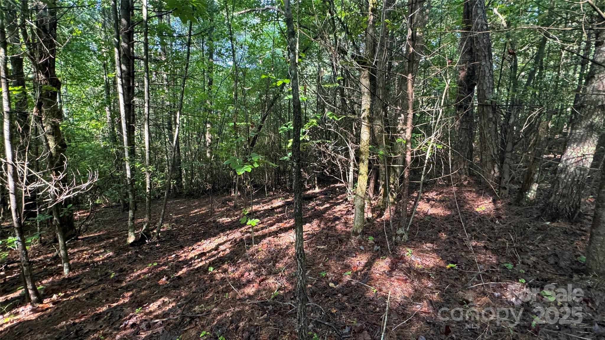 The Coves Mountain River Club - Land