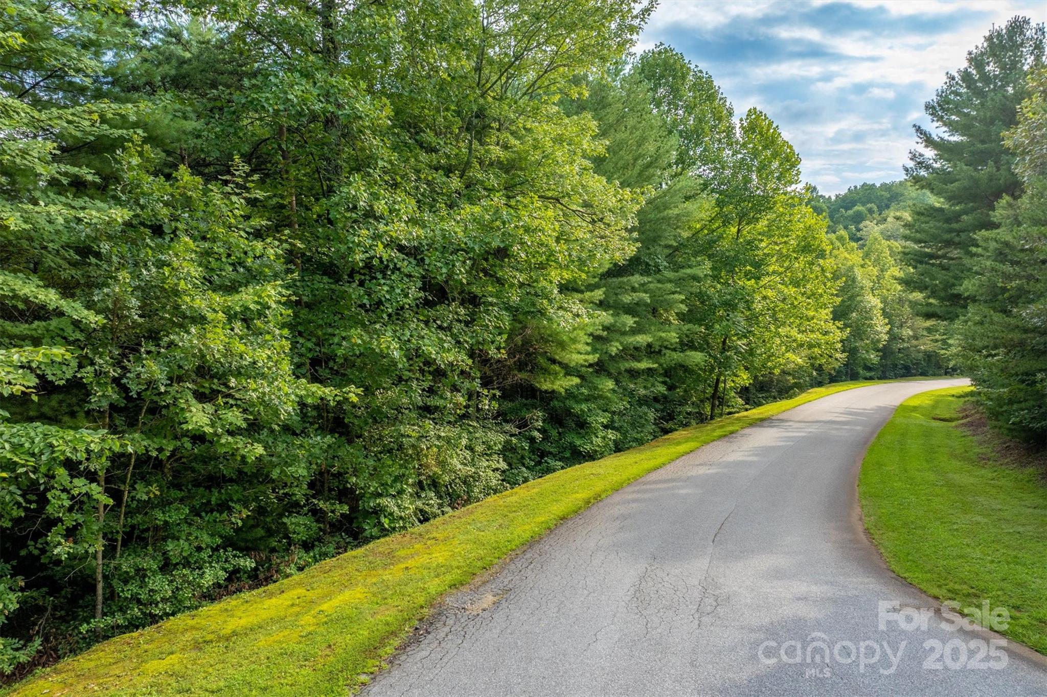 The Coves Mountain River Club - Land