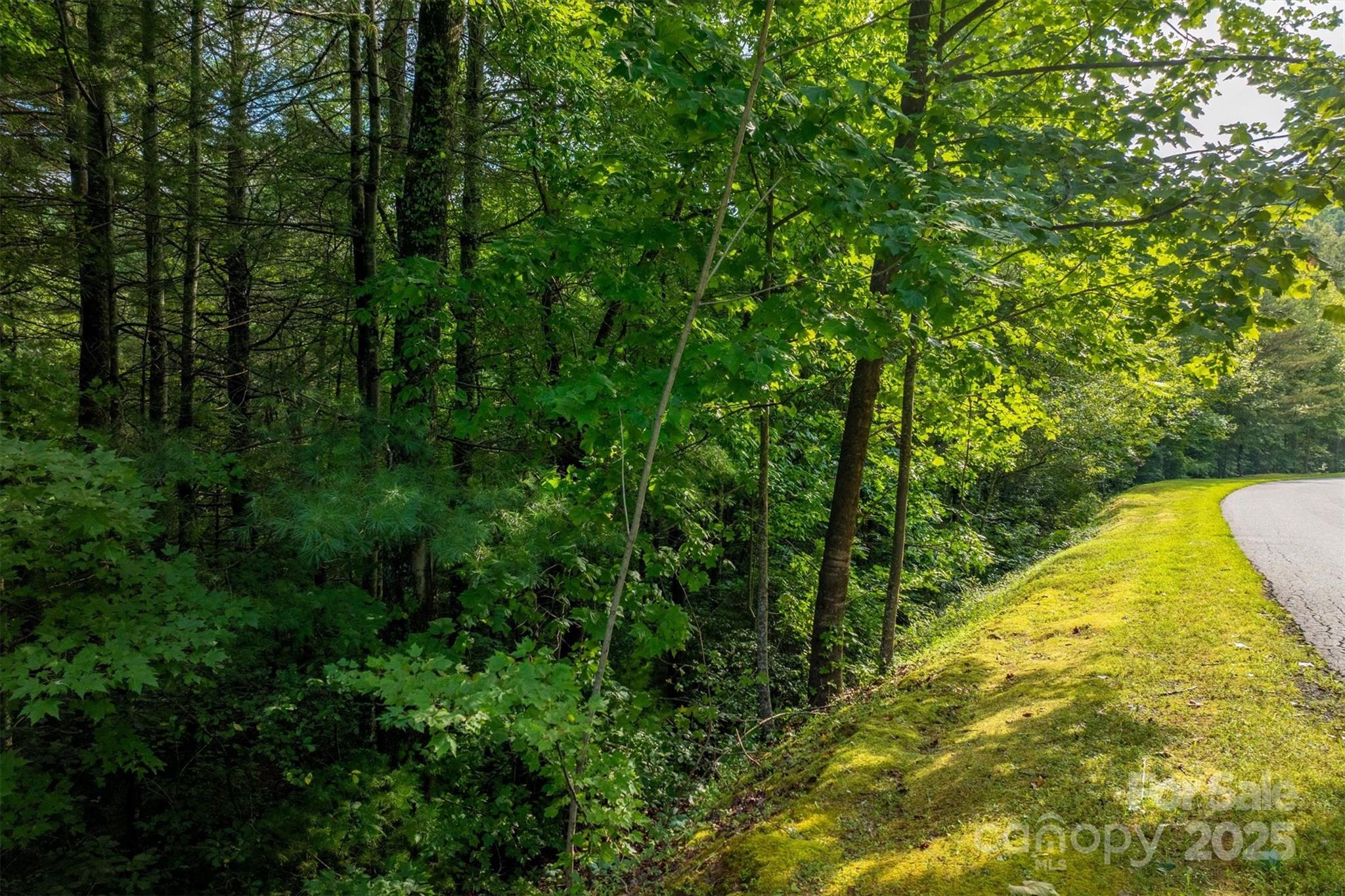 The Coves Mountain River Club - Land