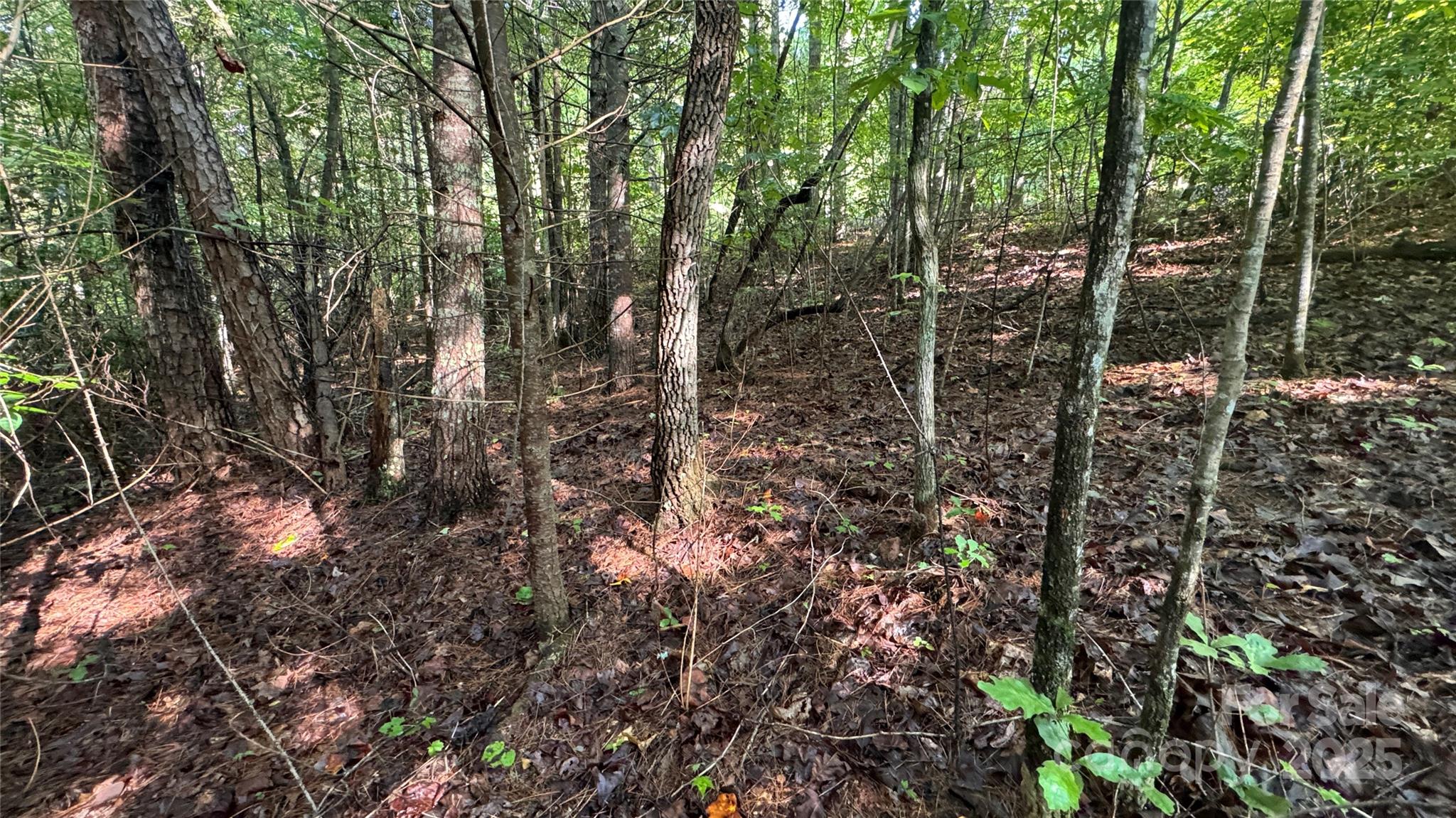 The Coves Mountain River Club - Land