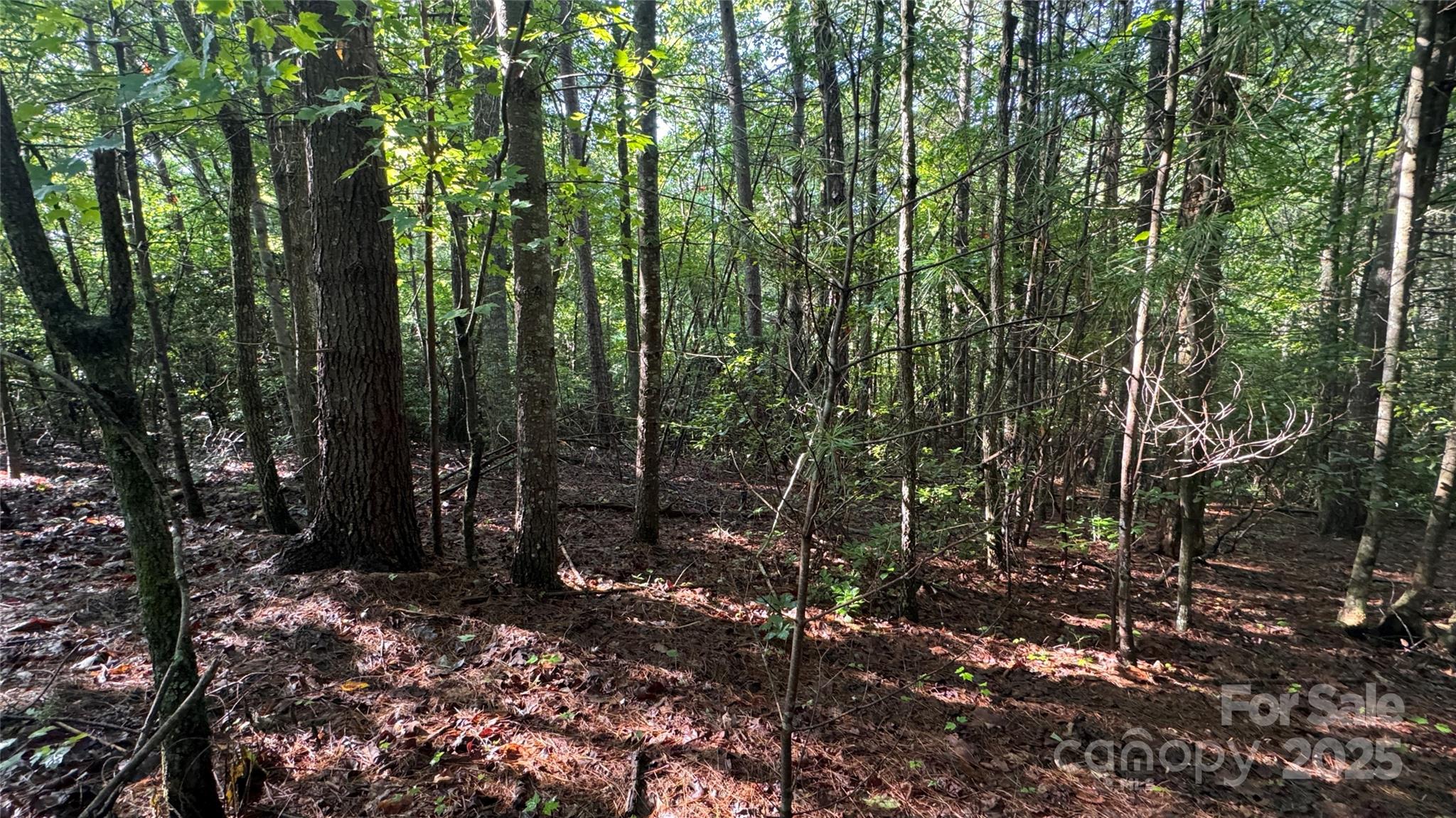 The Coves Mountain River Club - Land