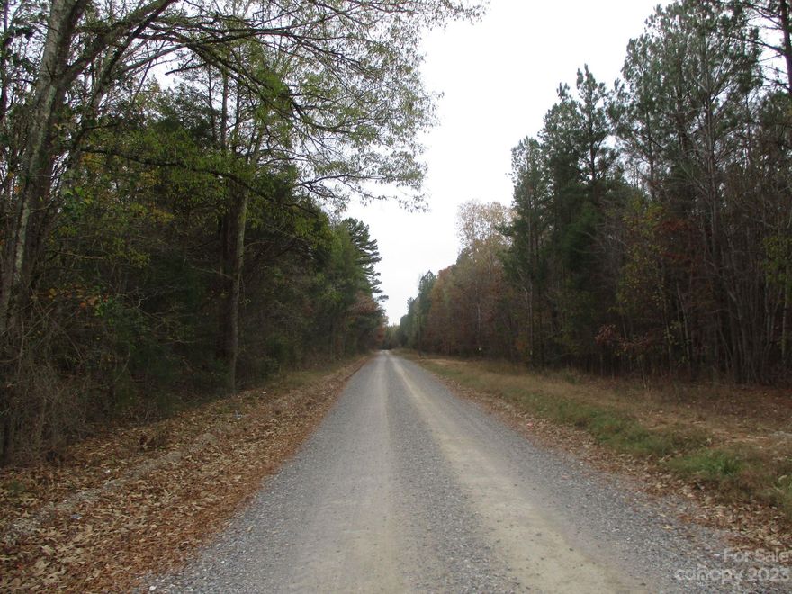 Great opportunity for developers and investors!  There are two parcels totaling 70.70 acres.  The land tract consists of Parcel #0020-00-020.00 being 47.87 acres on the Lancaster, SC side and Parcel #05171009 being 22.91 acres on the Waxhaw, NC side which totals 80.00 acres. These parcels abut each other.  The Sellers are selling both parcels as one sale and will not subdivide.  
There are lots of trees on the acreage.  The Lancaster, SC acreage is zoned RN (Rural Neighborhood) and the Waxhaw, NC acreage is zoned RA-40 (Rural Agricultural).  Both allow for agricultural and/or low-density residential use.  
The land has been appraised and the list price reflects the appraised value.  Also, the land was recently surveyed and a copy of the map is attached.