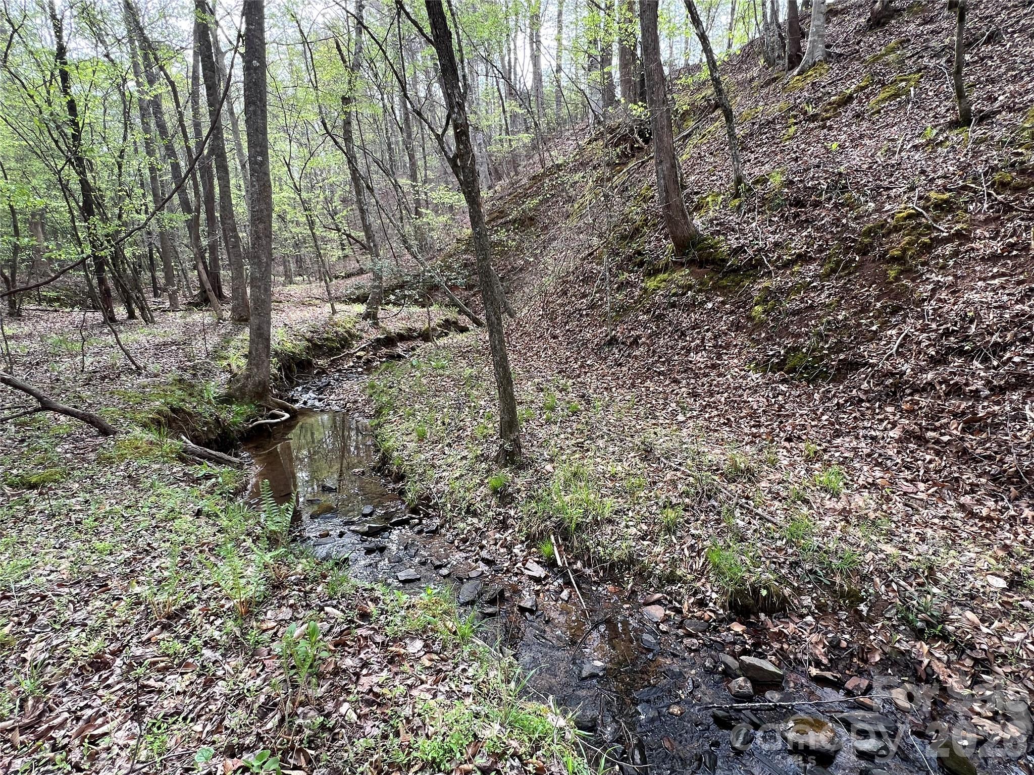 Clearwater Creek - Residential