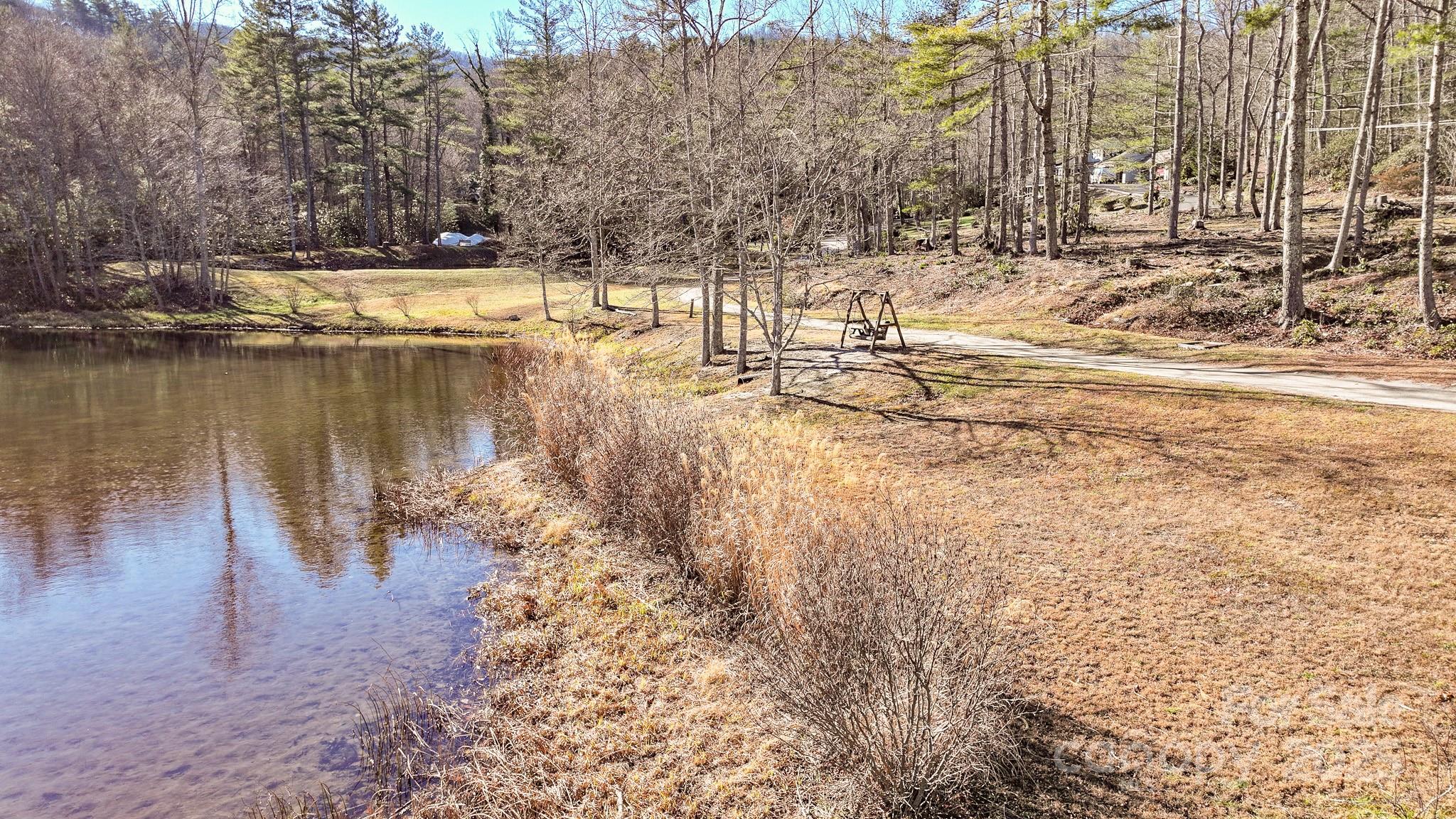 Swiss Pine Lake - Land