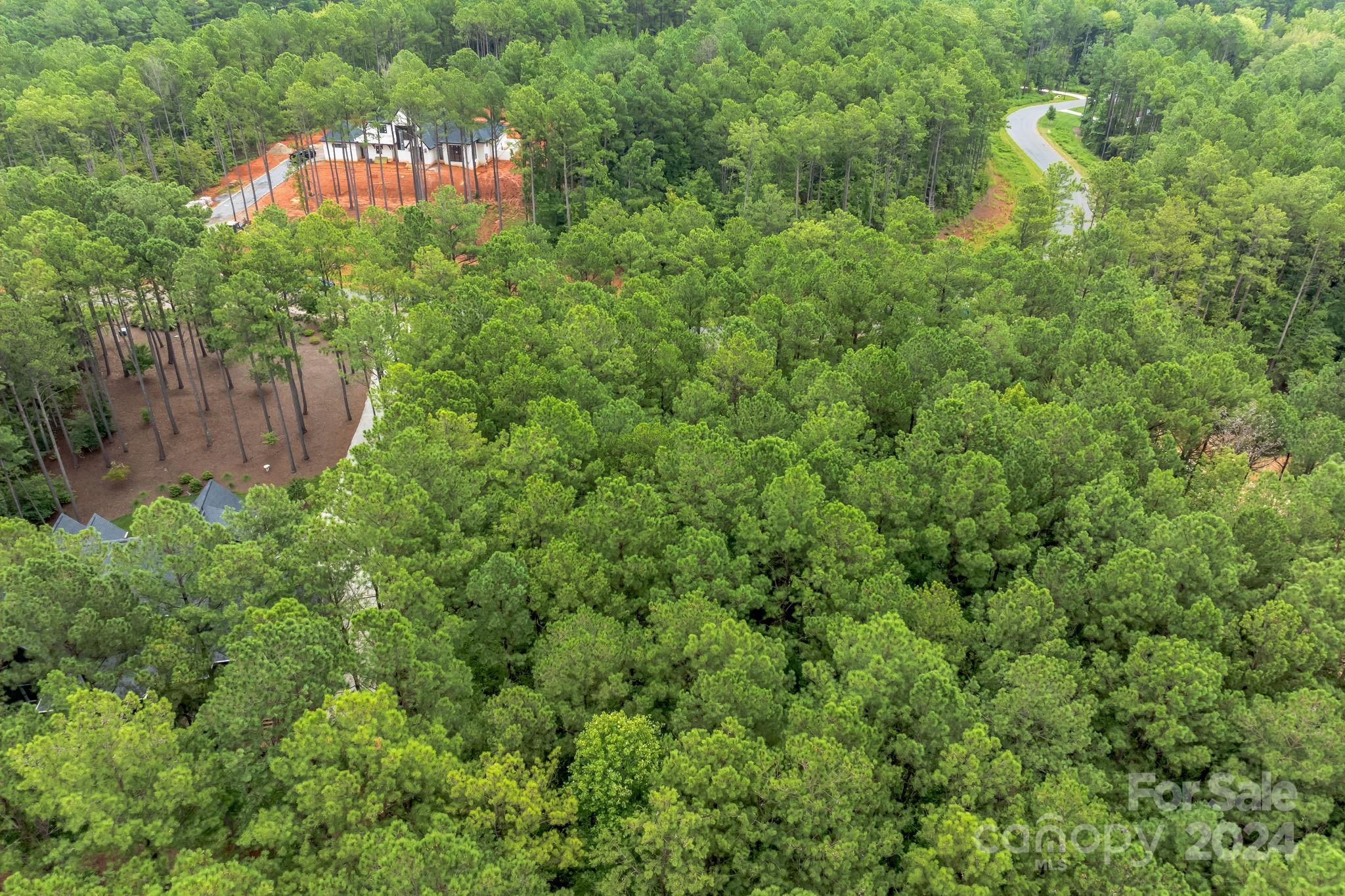 Riverchase Estates - Land