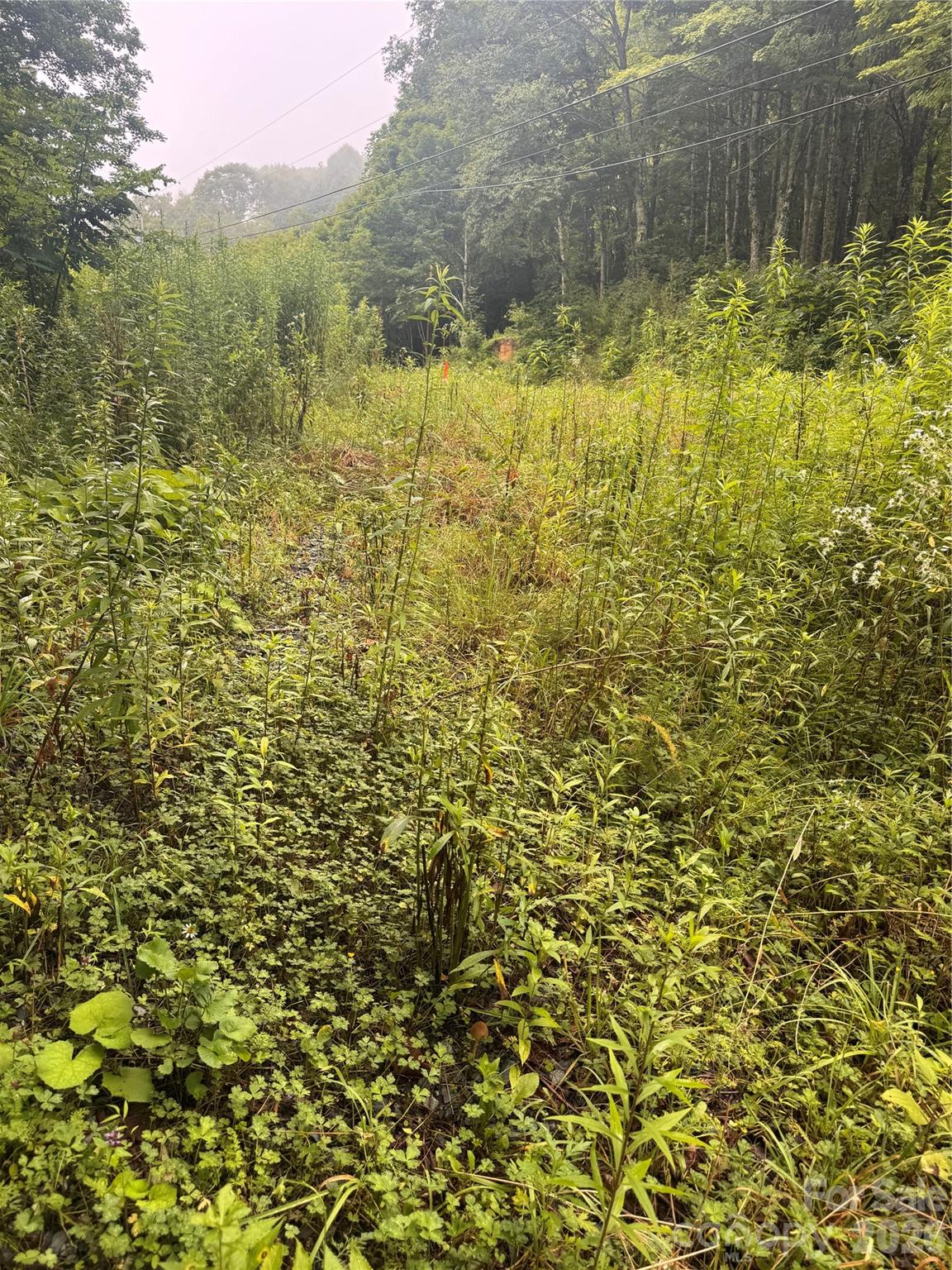 TBD Sugar Mountain 2 Road B