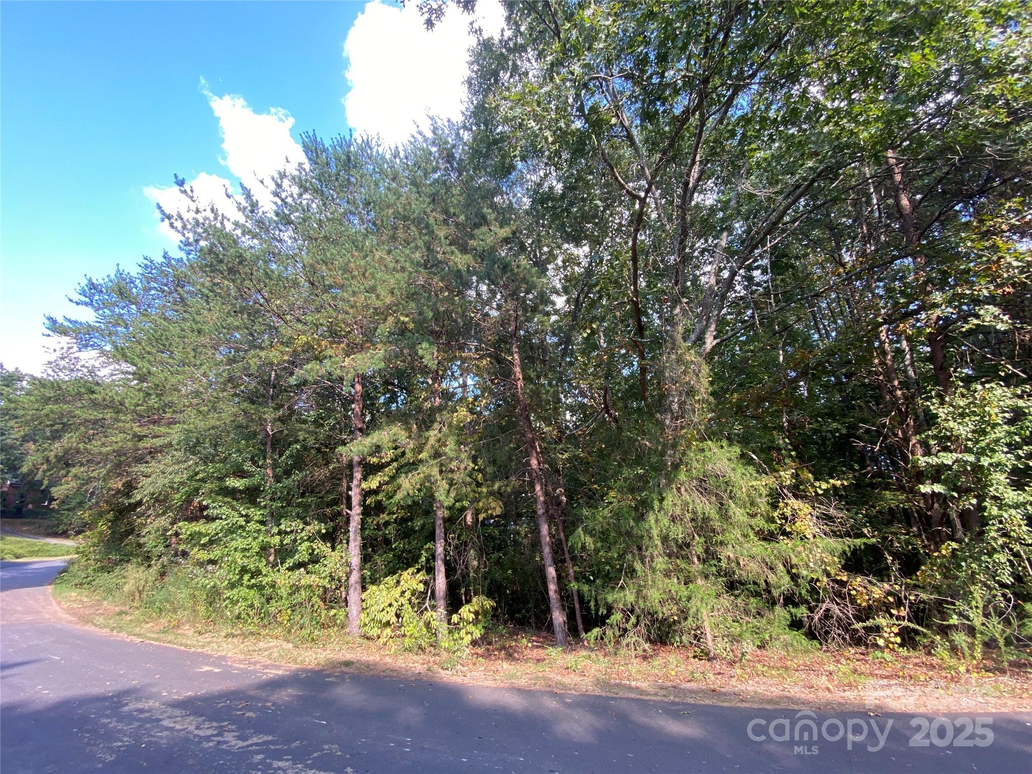 1301 Shadowfax Wynd None 51