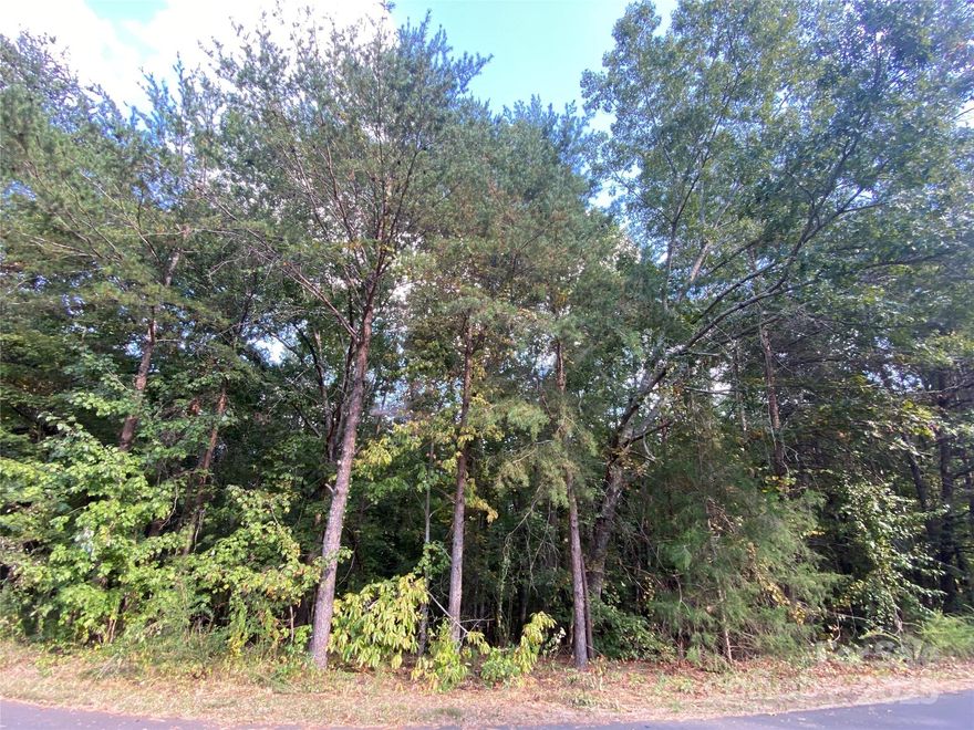 Rare find- Lot in sought after Mountain View area.  Come see this property that was just listed in Deerfield.  Bring your plans to build a dream home in this very nice quiet neighborhood which has larger properties and allows for privacy.  Come and see this basement Lot before it goes.  Lot will need a perk test for septic tank and Well.  Lot has a perk test that expires in August 2027 for a 4 bedroom home.