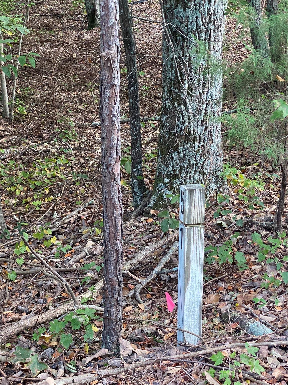 1301 Shadowfax Wynd None 51