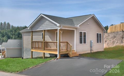 380 Quinn Hill Lane 51 Mars Hill NC 28754