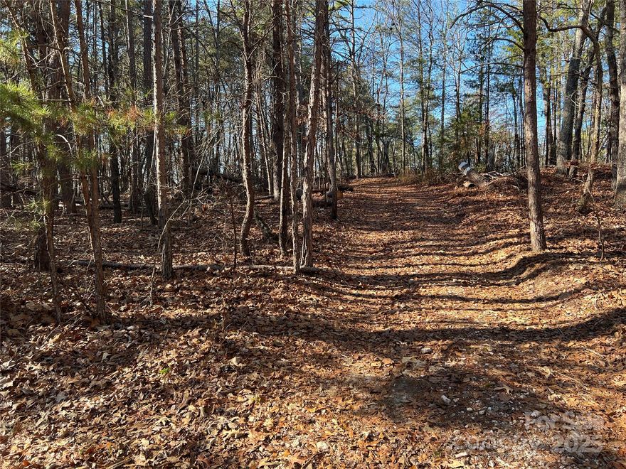 A hunters dream! Discover the serenity and potential of this 18-acre tract offering the best of South Carolina countryside living. This property features a mix of mature pines and hardwoods, providing both privacy and scenic beauty throughout. An old road bed meanders through the land, offering easy access to explore and enjoy every corner of the property.
With rolling topography and several elevated vistas, this parcel offers ideal spots for a future homesite, cabin, or deer lodge. The land is zoned AG (Agricultural), giving you flexible options for residential, recreational, or agricultural use. Surrounded by large neighboring tracts primarily used for deer hunting and recreation, this property offers a peaceful, secluded setting teeming with wildlife and opportunity.
Whether you’re looking to build your dream country home, create a private hunting retreat, or simply invest in land this property checks all the boxes.  Less than 15 minute drive to I-85 or York.  Septic permitting will be at Buyers expense. For directions, input 3205 Old Seine Road Smyrna SC in GPS.