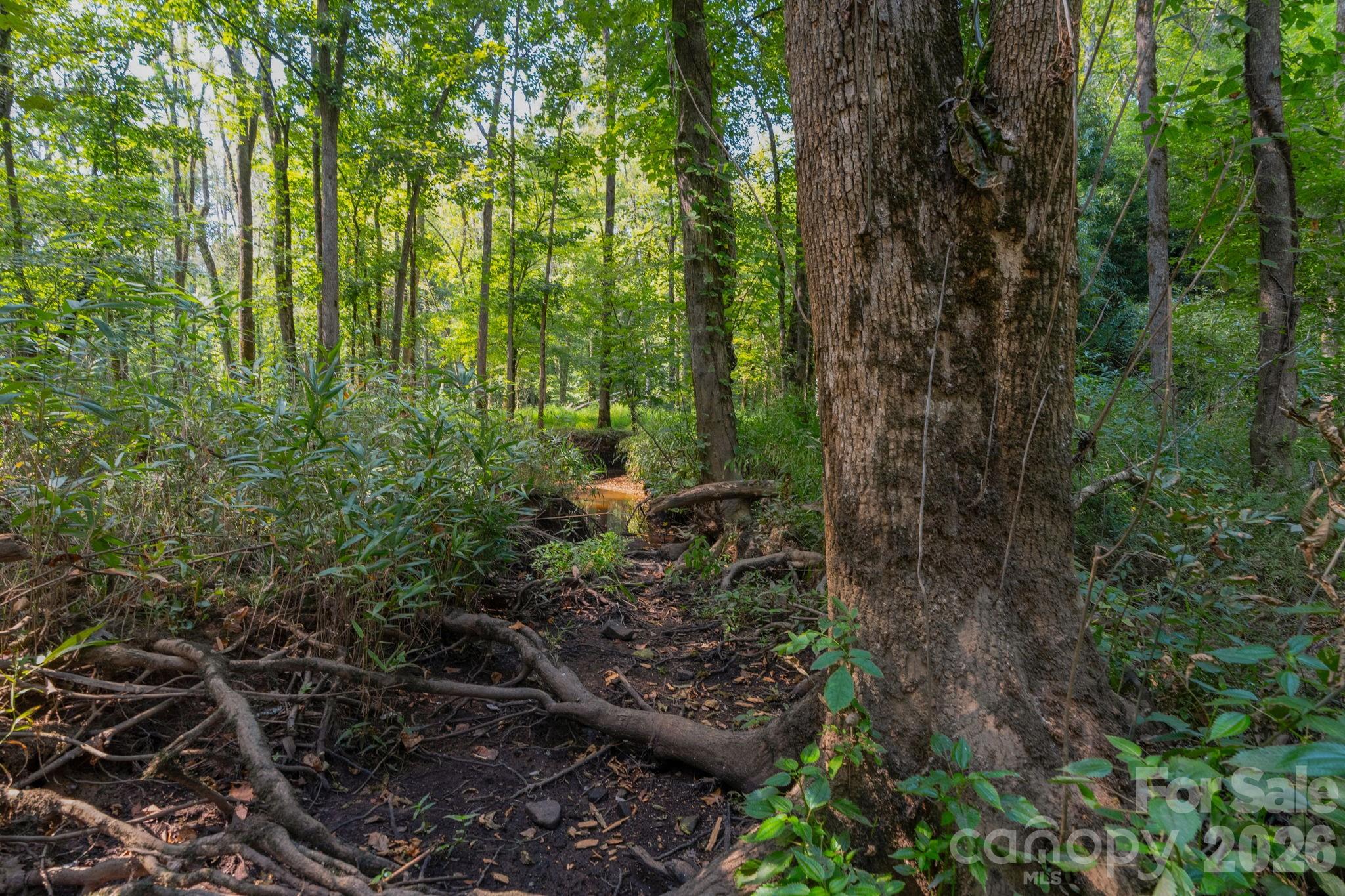 Properties | Kathy Shaffer, REALTOR® in Charlotte, NC 00 Stonehenge Court