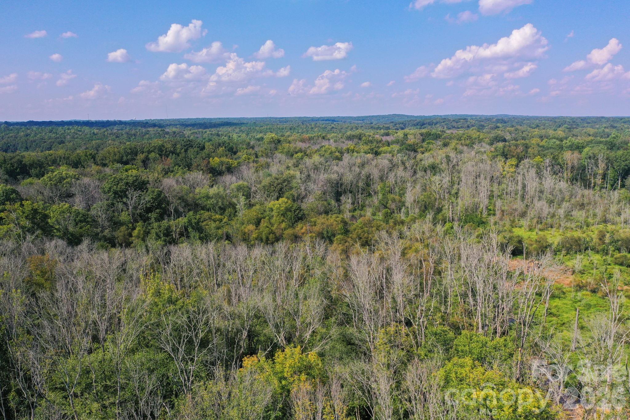 Triple C Mini Ranches - Land