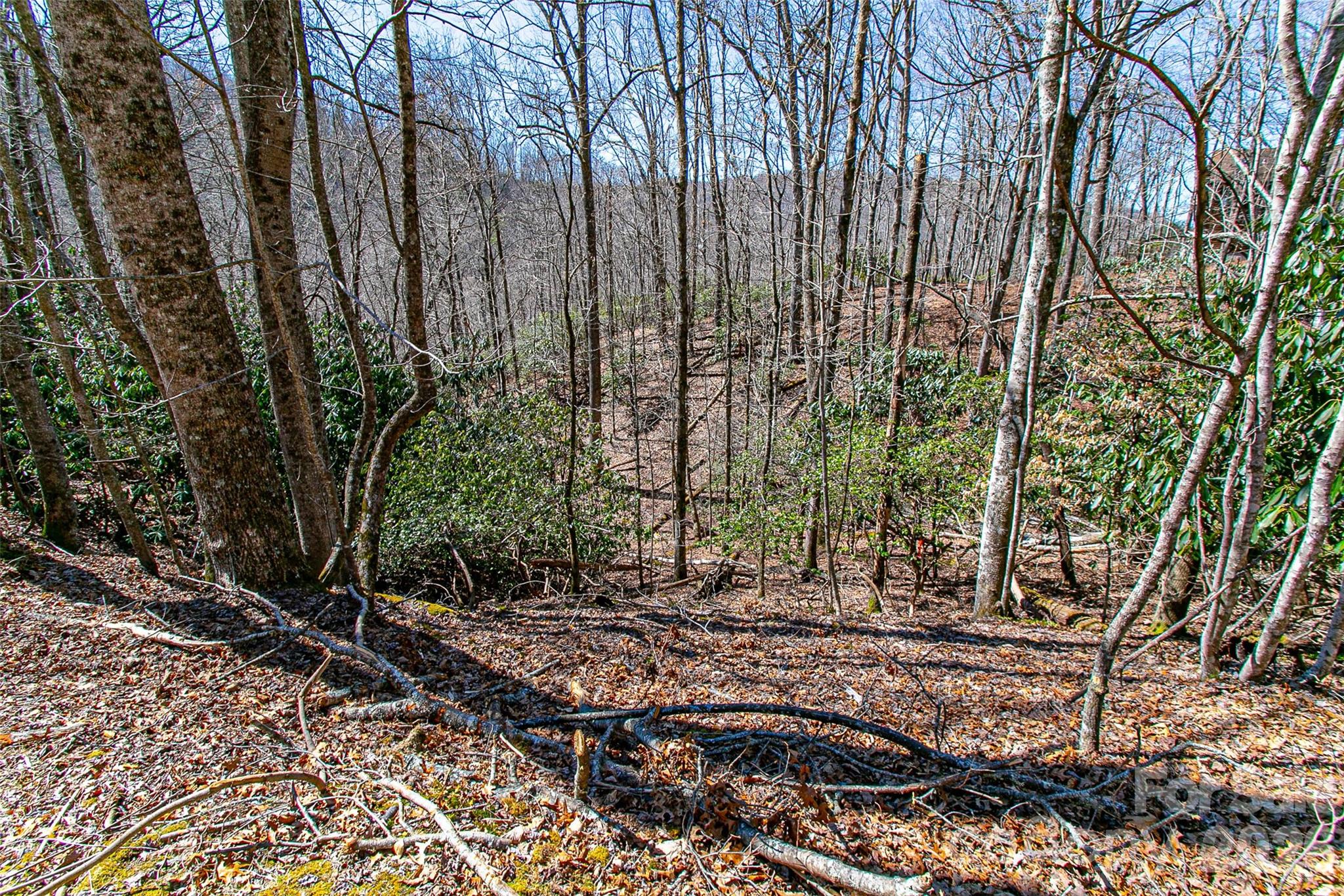 Whiskey Creek - Land
