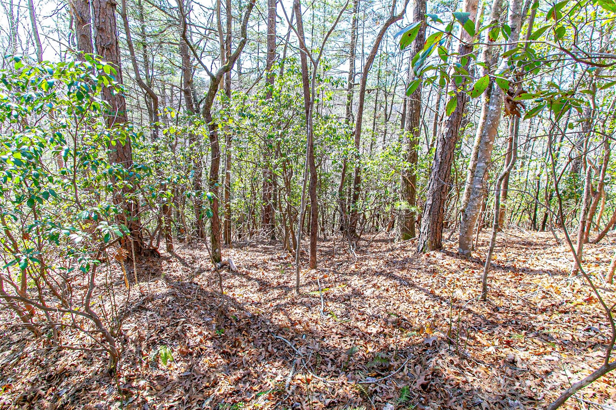 Whiskey Creek - Land