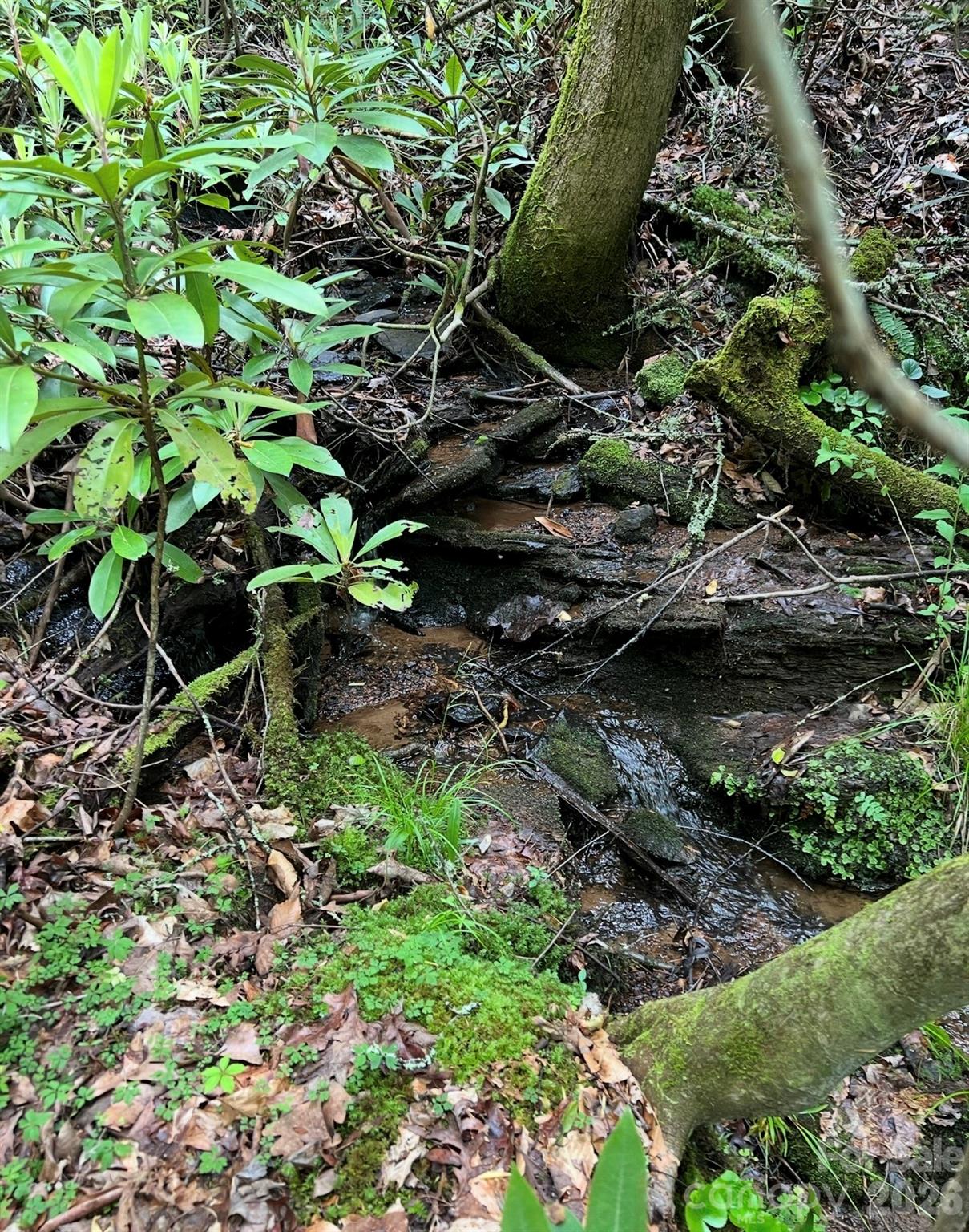 Whiskey Creek - Land
