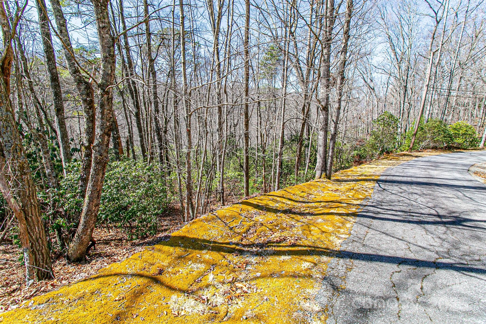 Whiskey Creek - Land