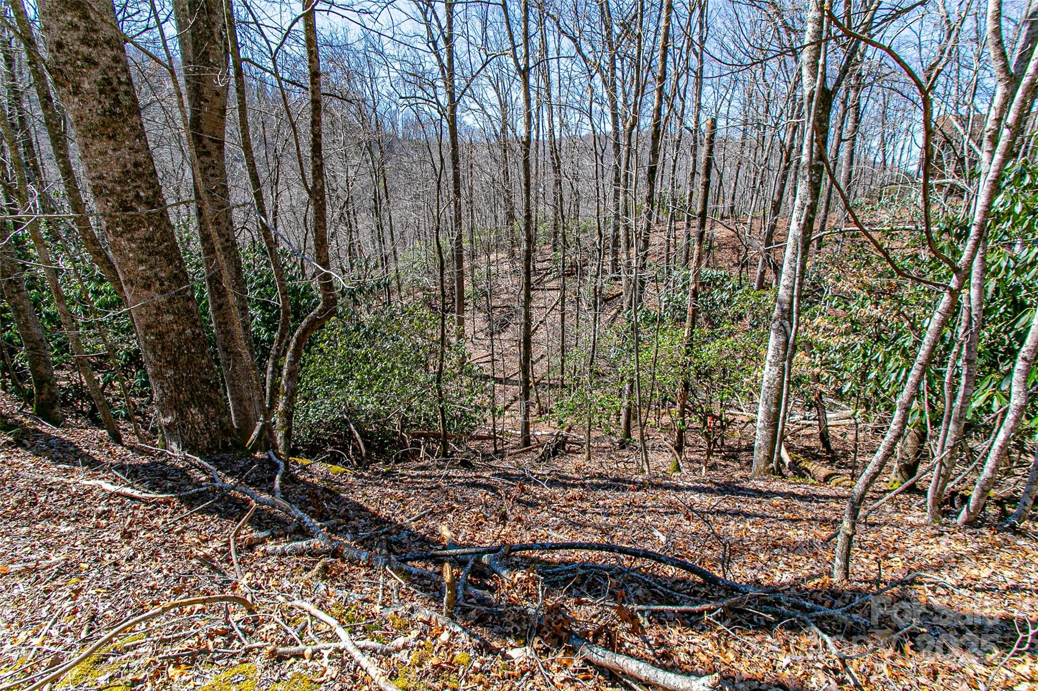 Whiskey Creek - Land