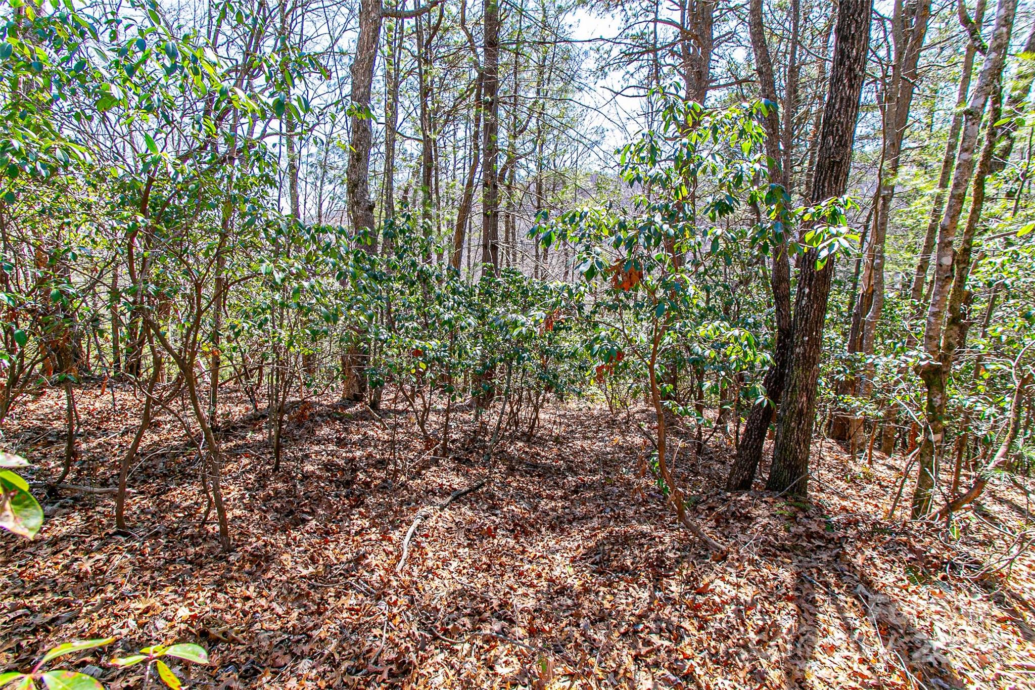 Whiskey Creek - Land