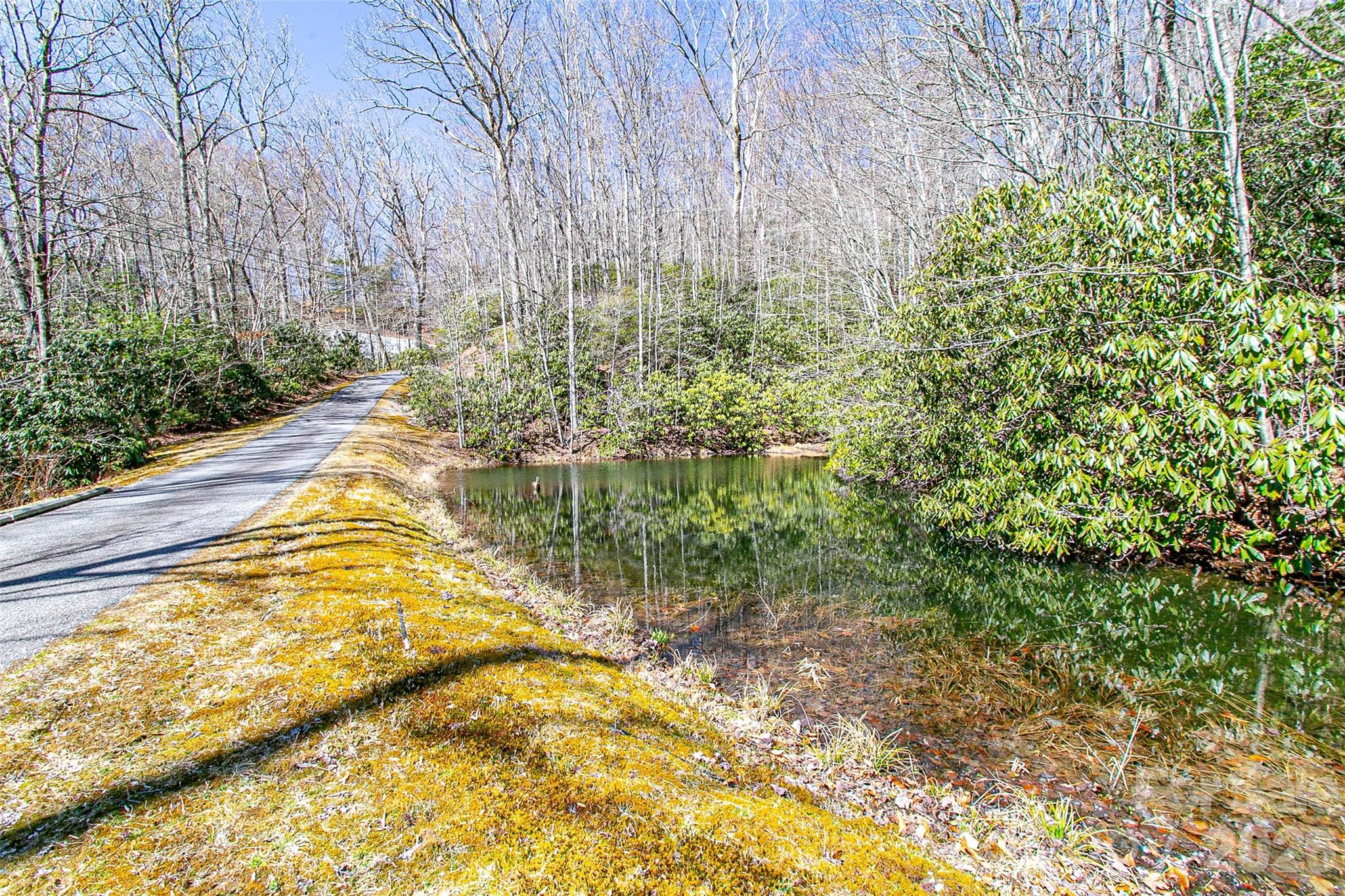 TBD Still Branch Road L20